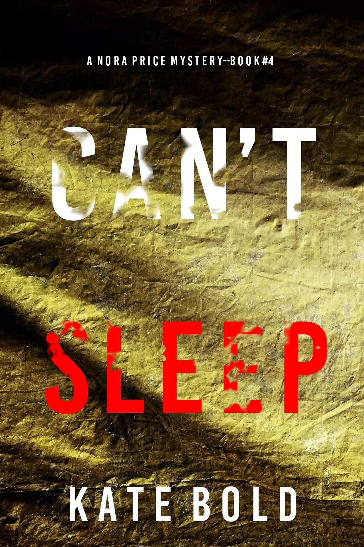 Can't Sleep (Nora Price #4) by Kate Bold