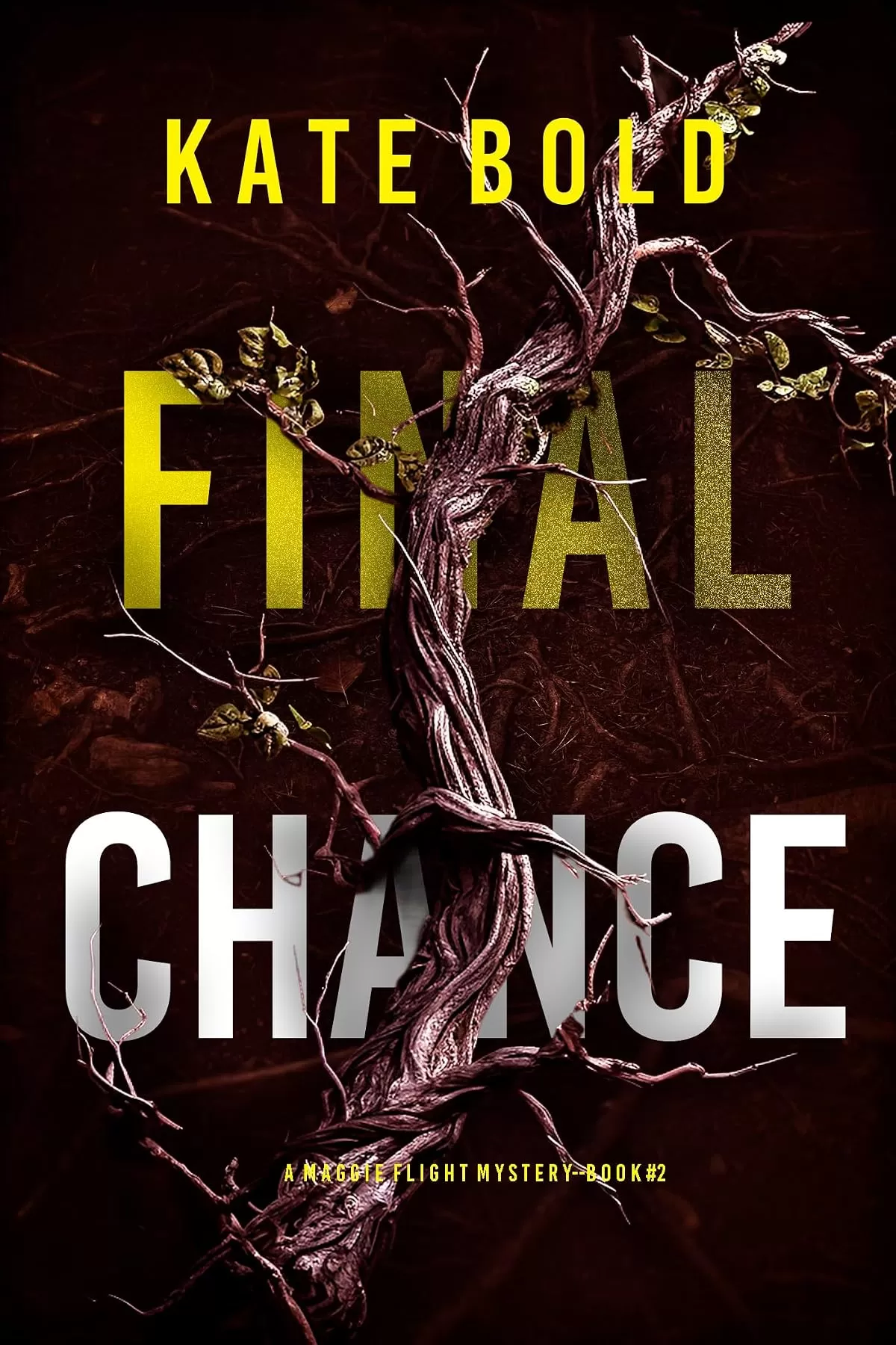 Final Chance (Maggie Flight #2) by Kate Bold