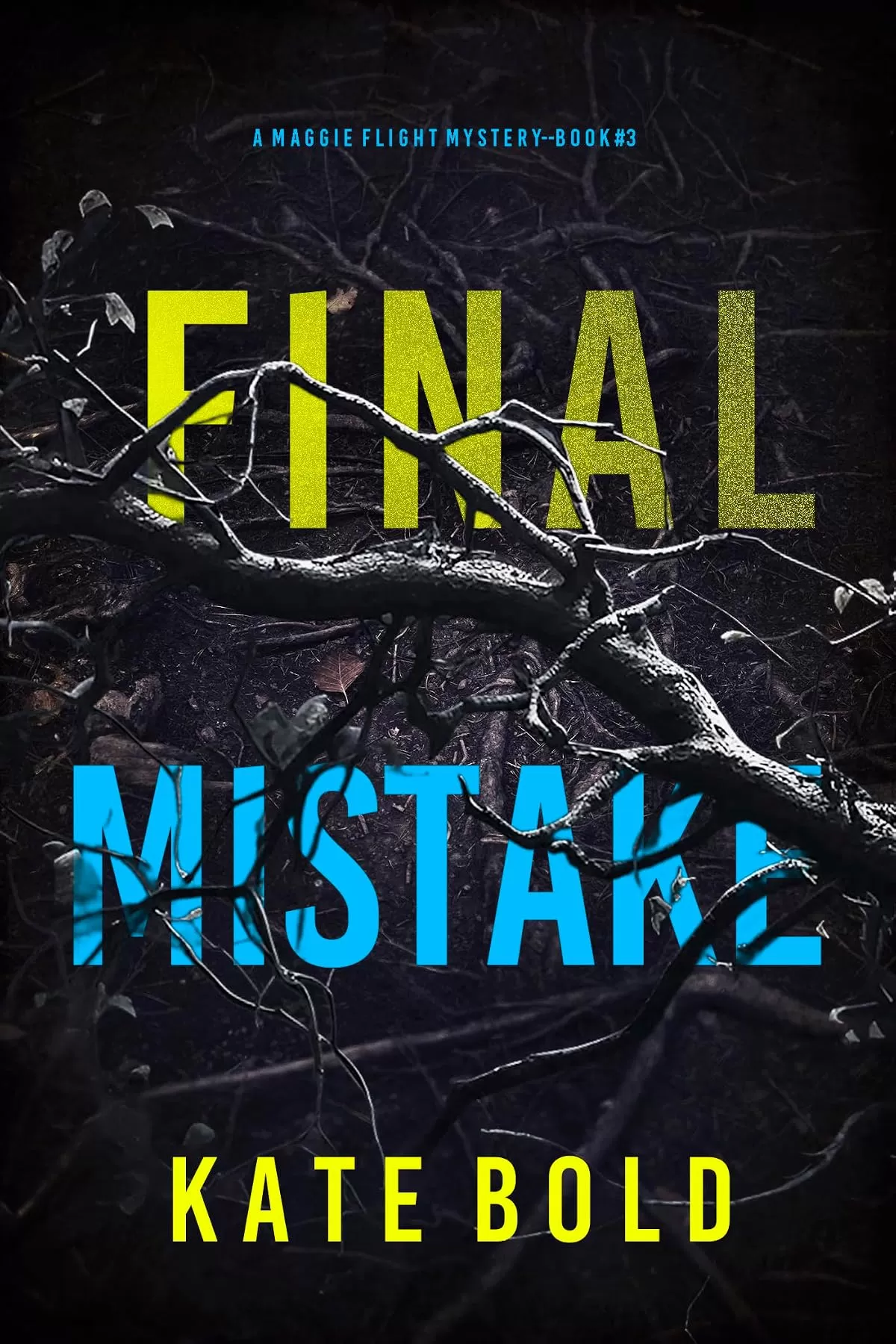 Final Mistake (Maggie Flight #3) by Kate Bold