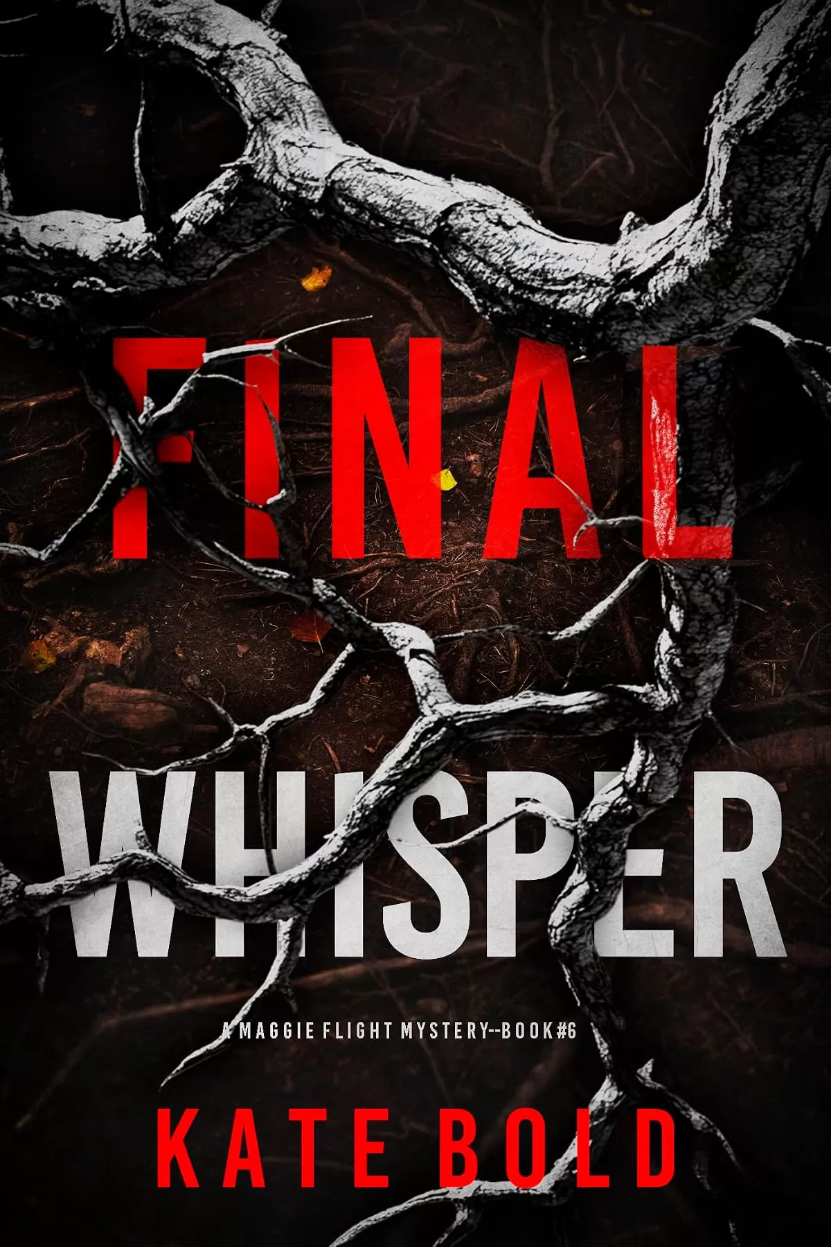 Final Whisper (Maggie Flight #6) by Kate Bold