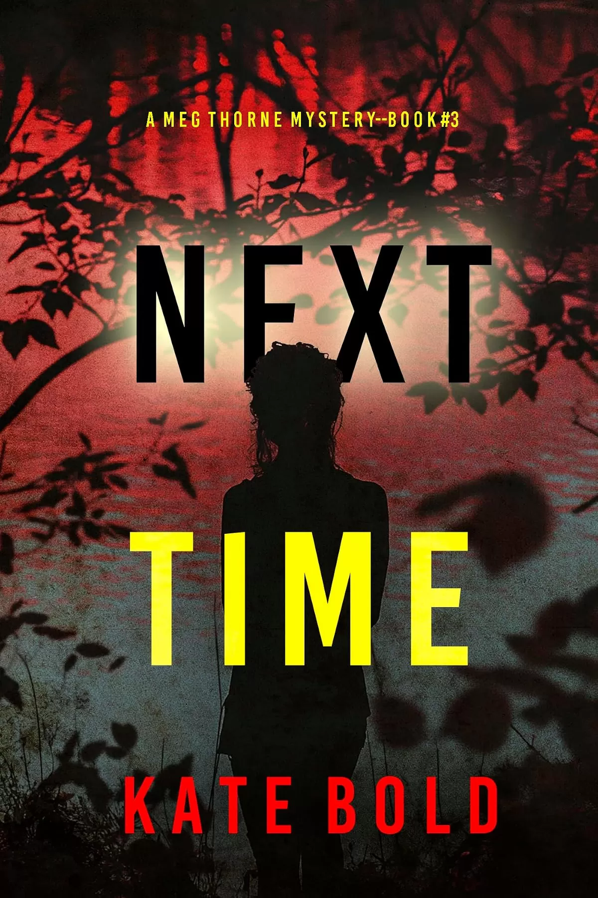 Next Time (Meg Thorne #3) by Kate Bold