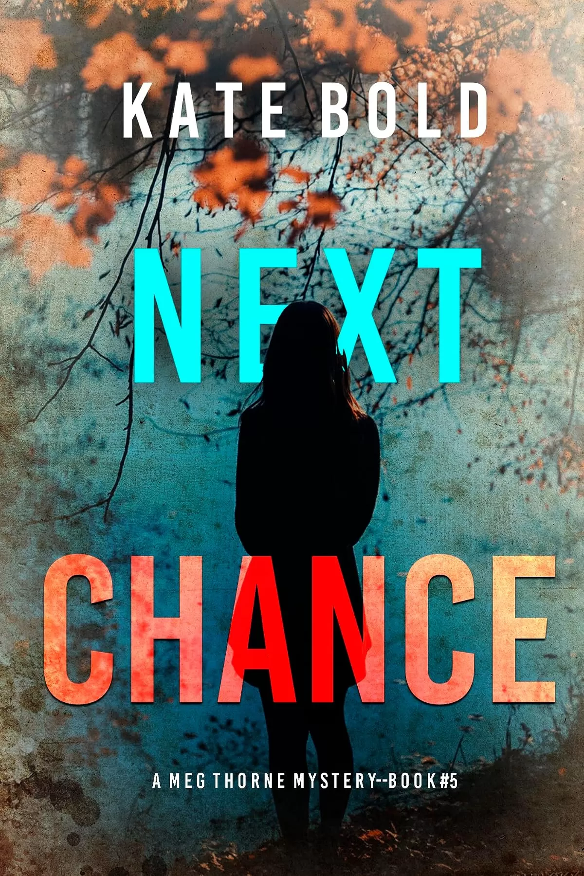 Next Chance (Meg Thorne #5) by Kate Bold