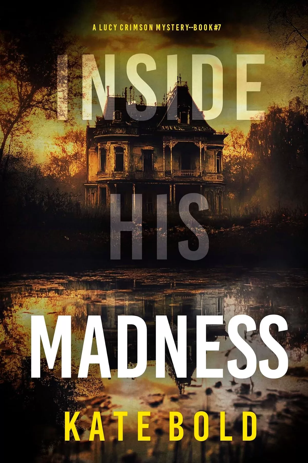 Inside His Madness (Lucy Crimson #7) by Kate Bold