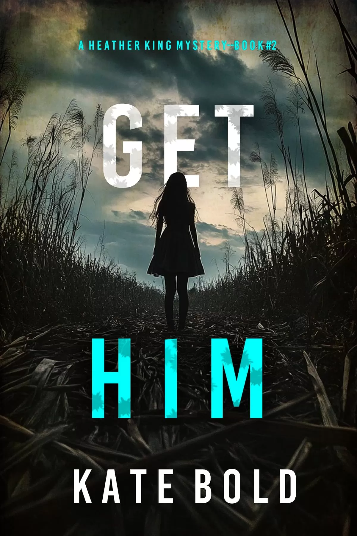 Get Him (Heather King #2) by Kate Bold
