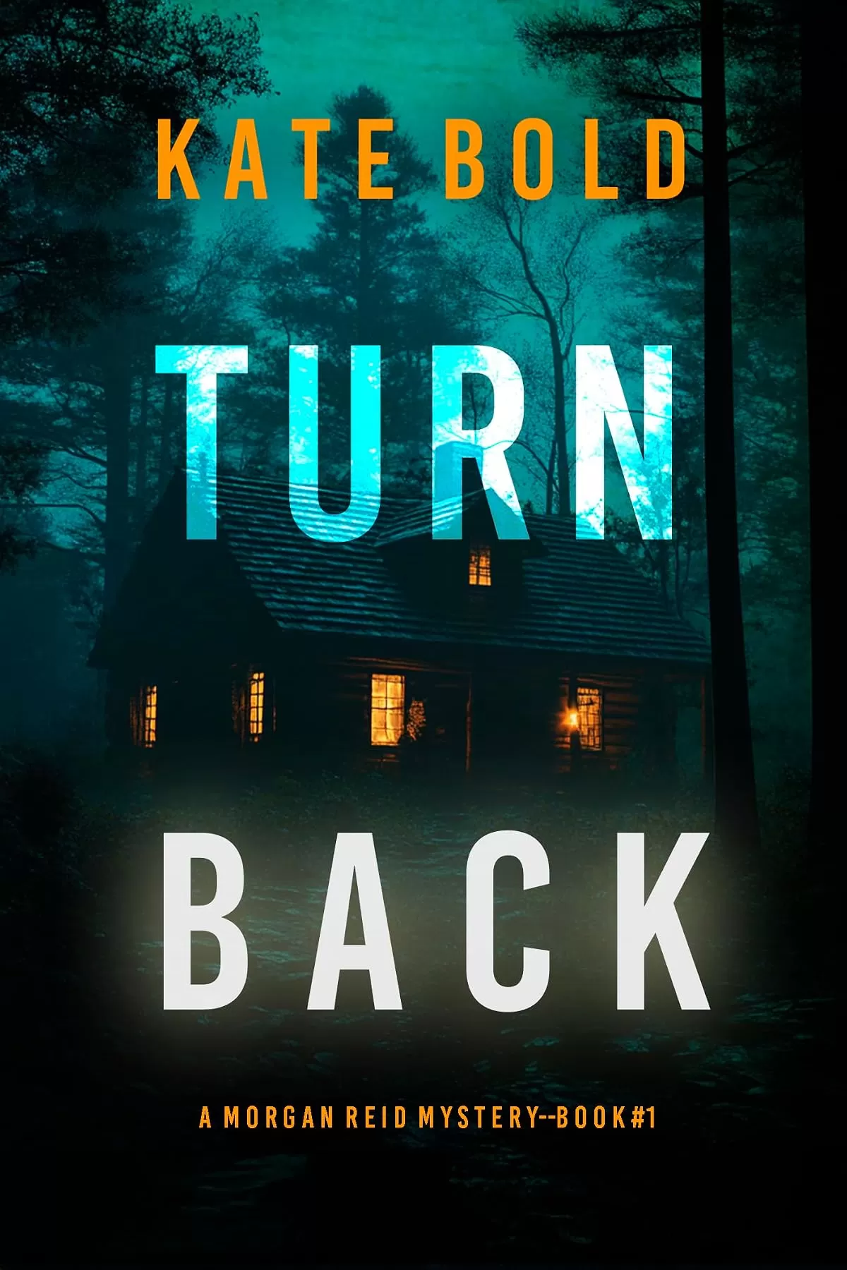 Turn Back (Morgan Reid #1) by Kate Bold