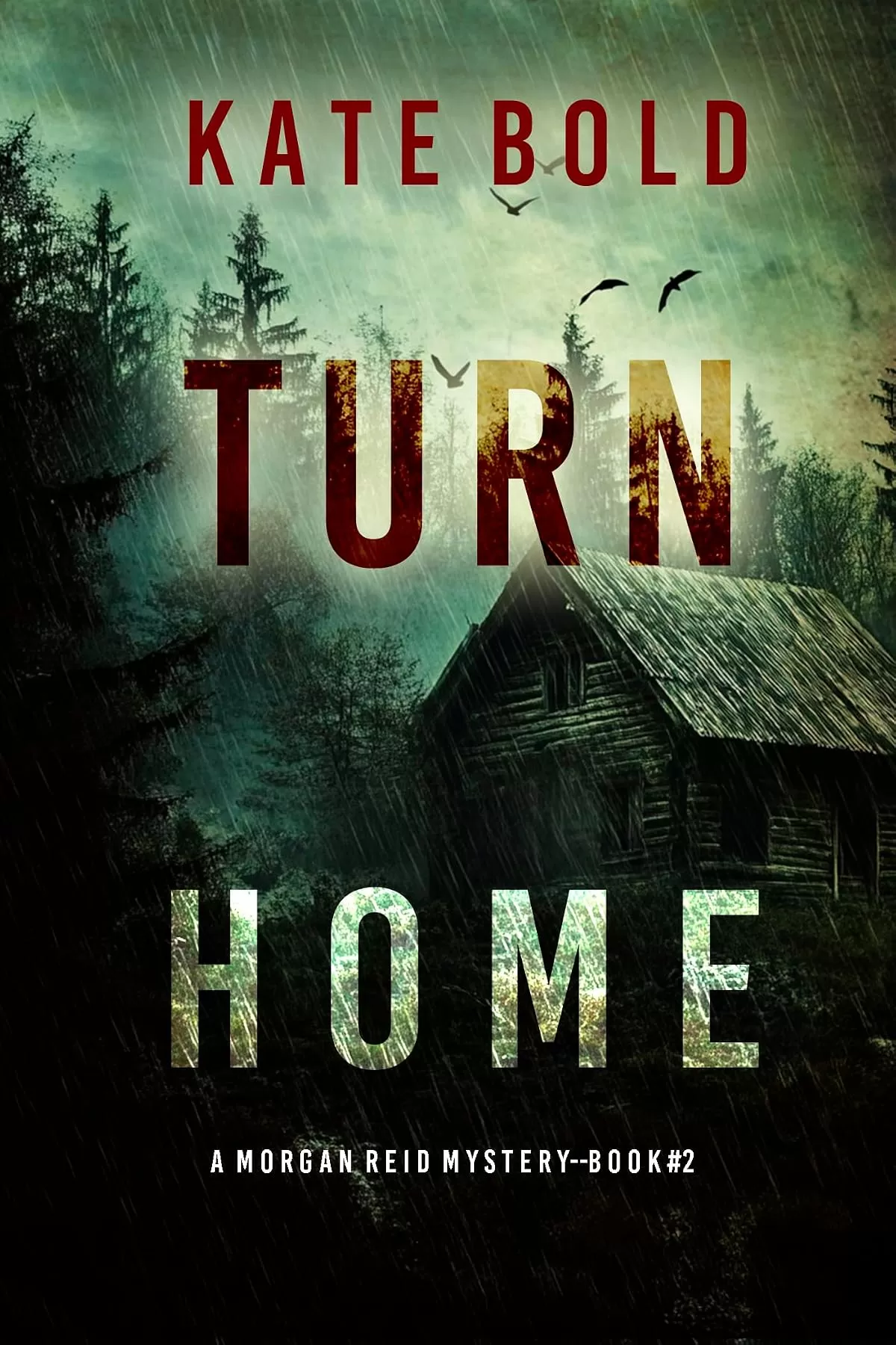 Turn Home (Morgan Reid #2) by Kate Bold