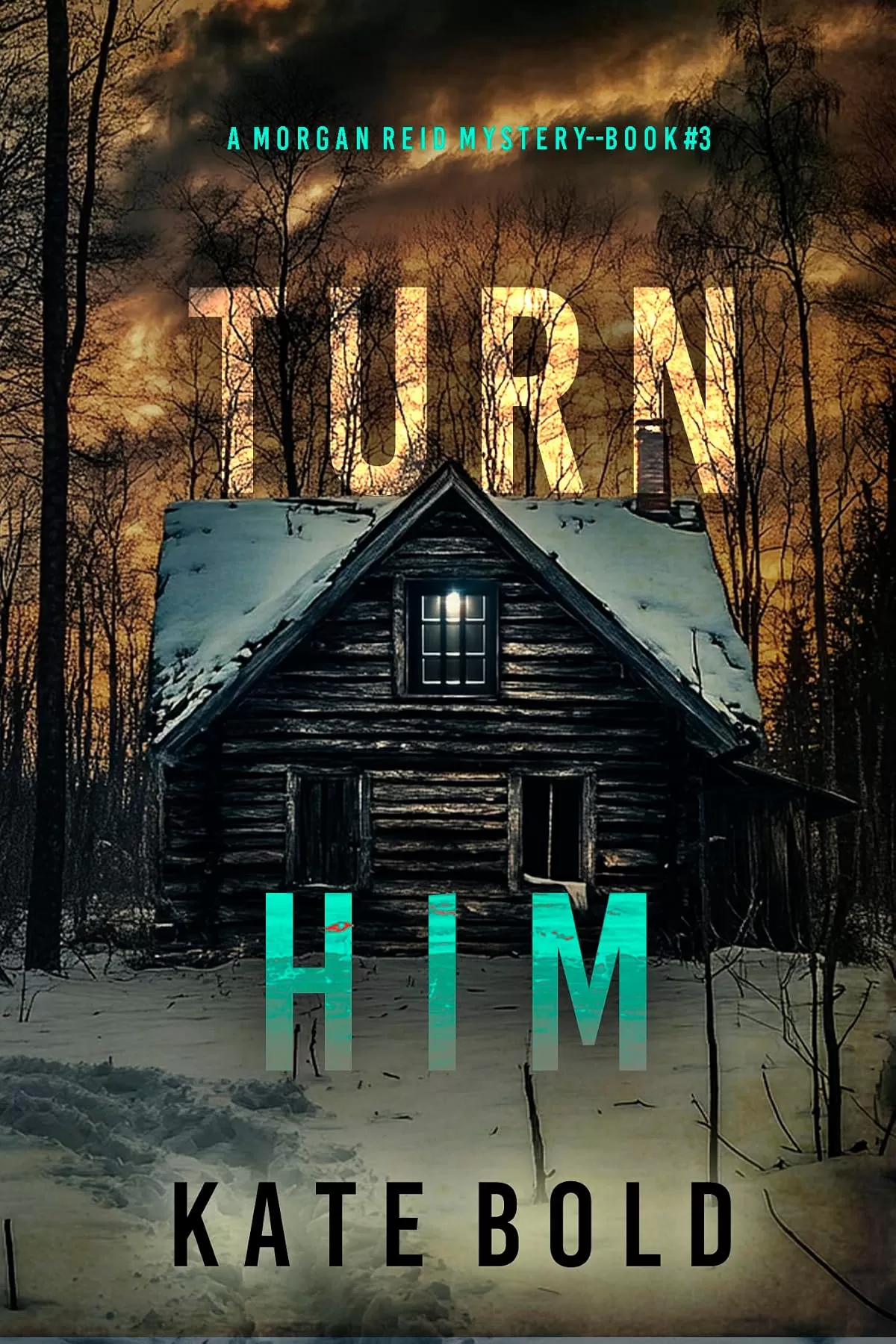 Turn Him (Morgan Reid #3) by Kate Bold