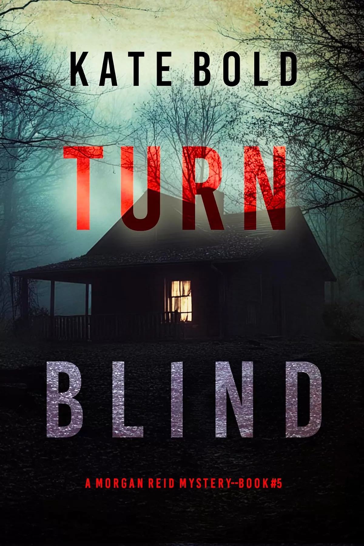 Turn Blind (Morgan Reid #5) by Kate Bold