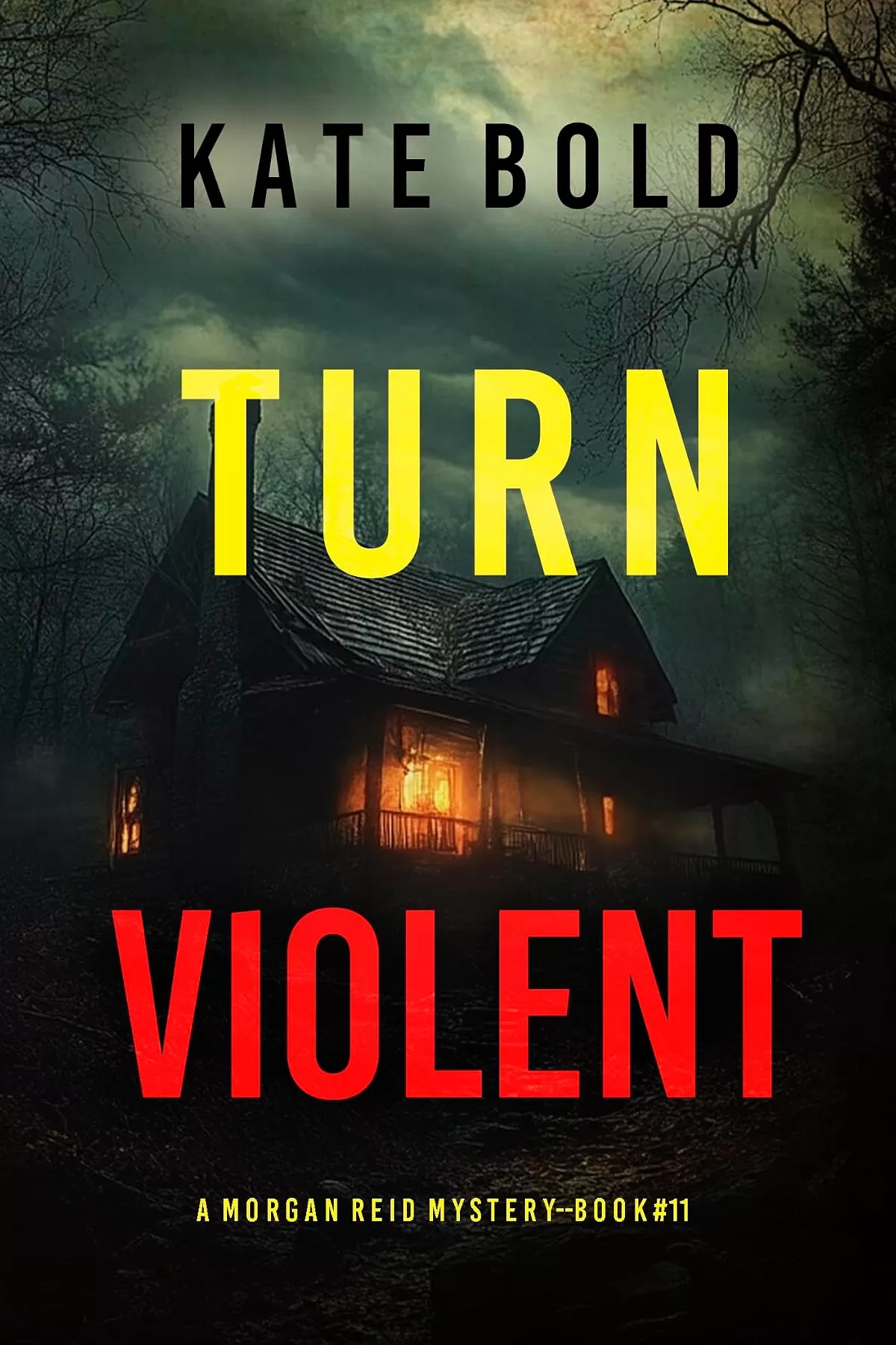 Turn Violent (Morgan Reid #11) by Kate Bold