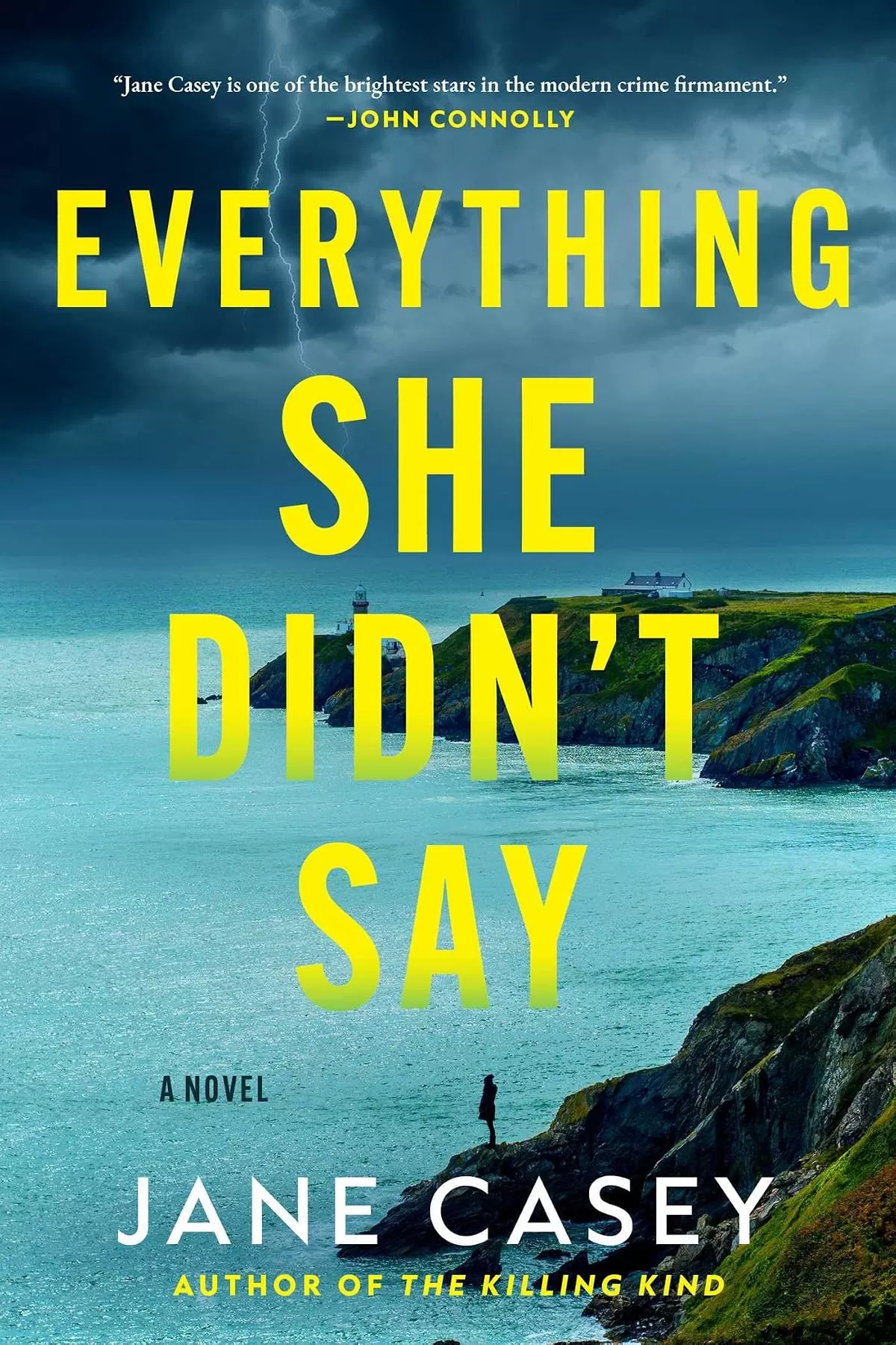 Everything She Didn't Say by Jane Casey