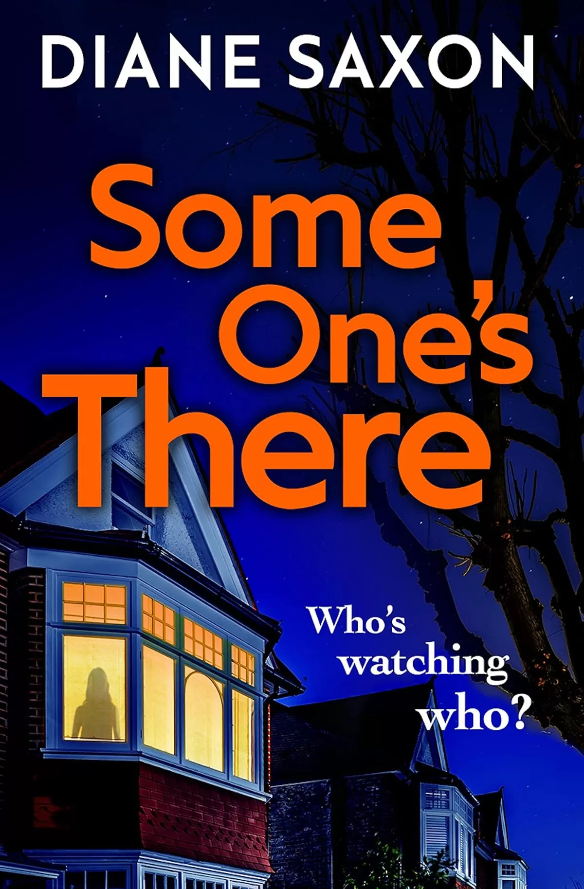 Someone's There (DS Jenna Morgan #2) by Diane Saxon