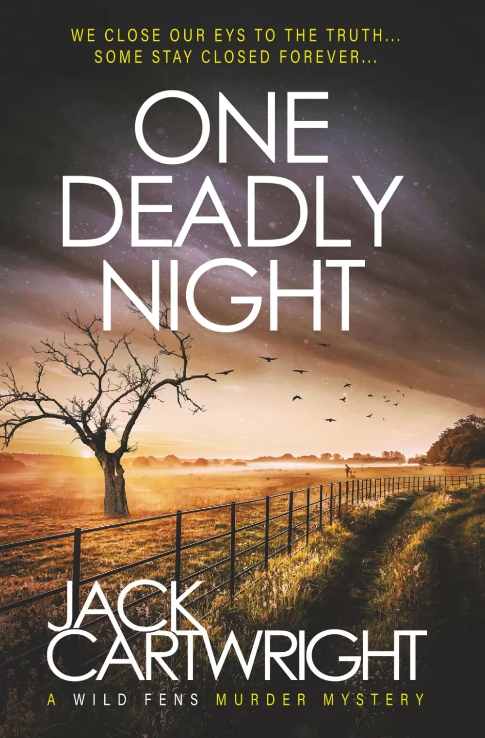One Deadly Night (The Wild Fens Murder Mystery Series #10) by Jack Cartwright