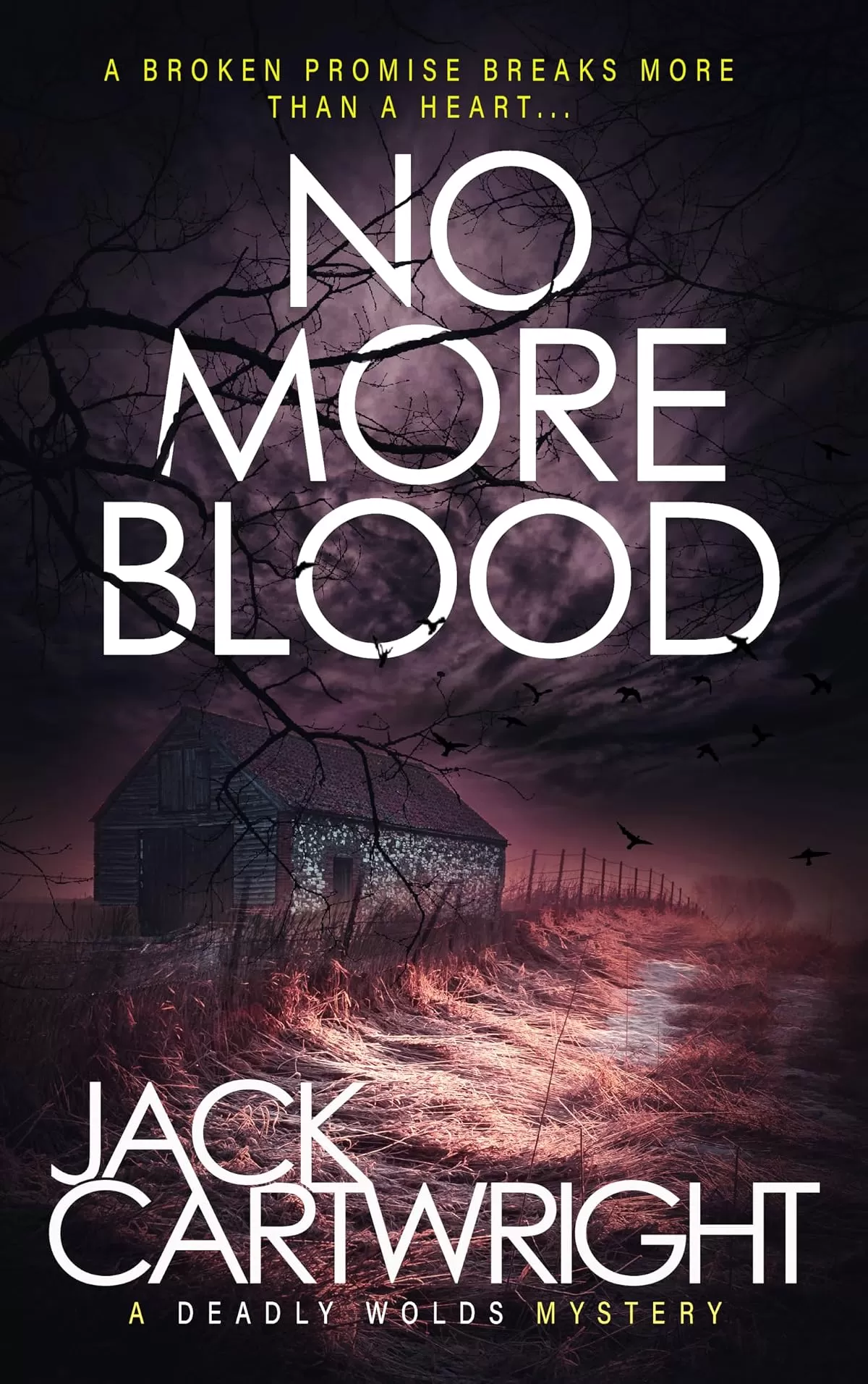 No More Blood (The Wild Fens Murder Mystery Series #13) by Jack Cartwright