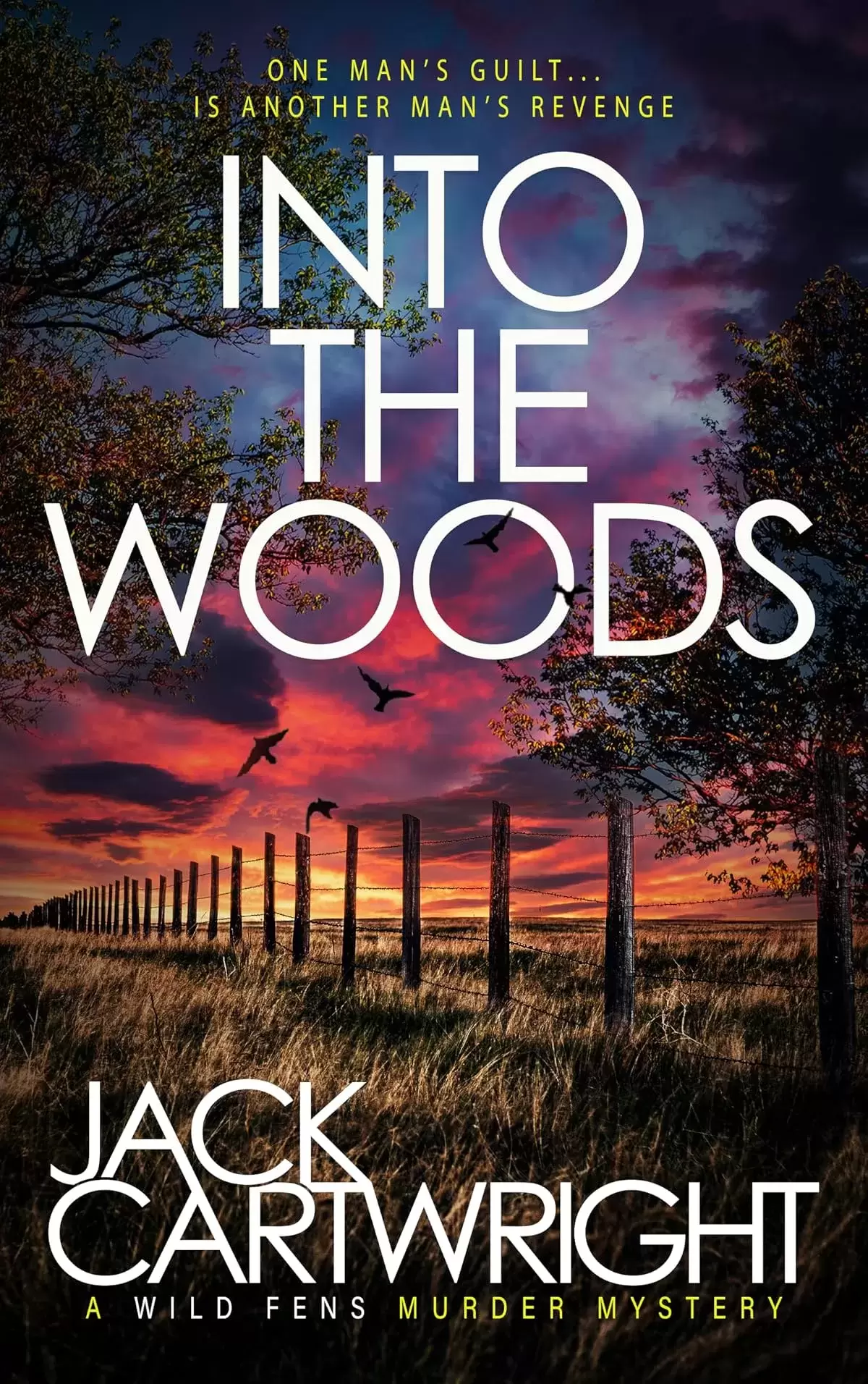 Into The Woods (The Wild Fens Murder Mystery Series #19) by Jack Cartwright