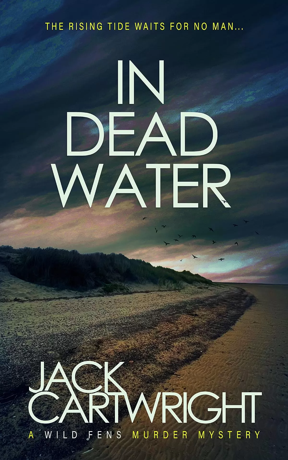 In Dead Water (The Wild Fens Murder Mystery Series #9) by Jack Cartwright
