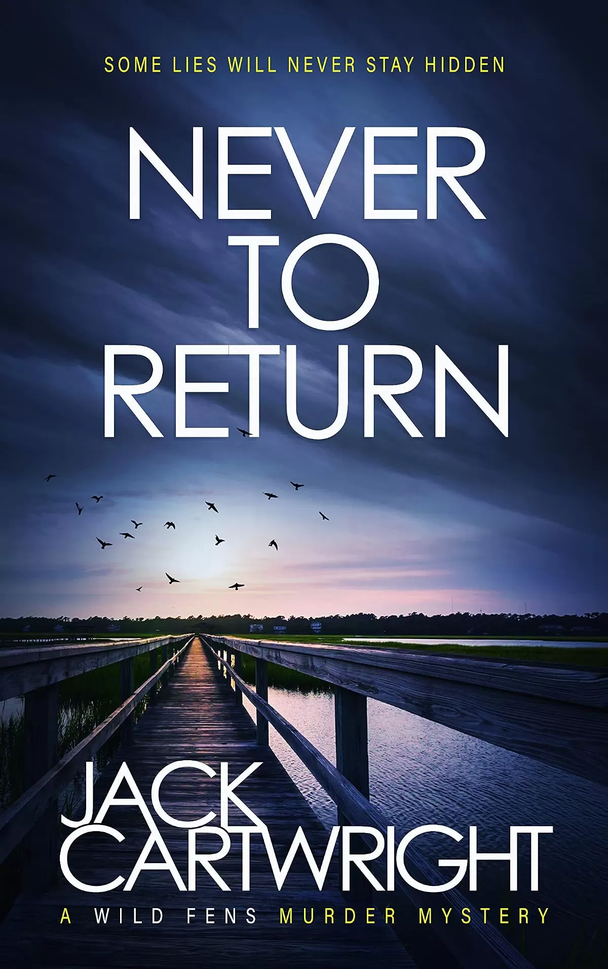 Never To Return (The Wild Fens Murder Mystery Series #6) by Jack Cartwright