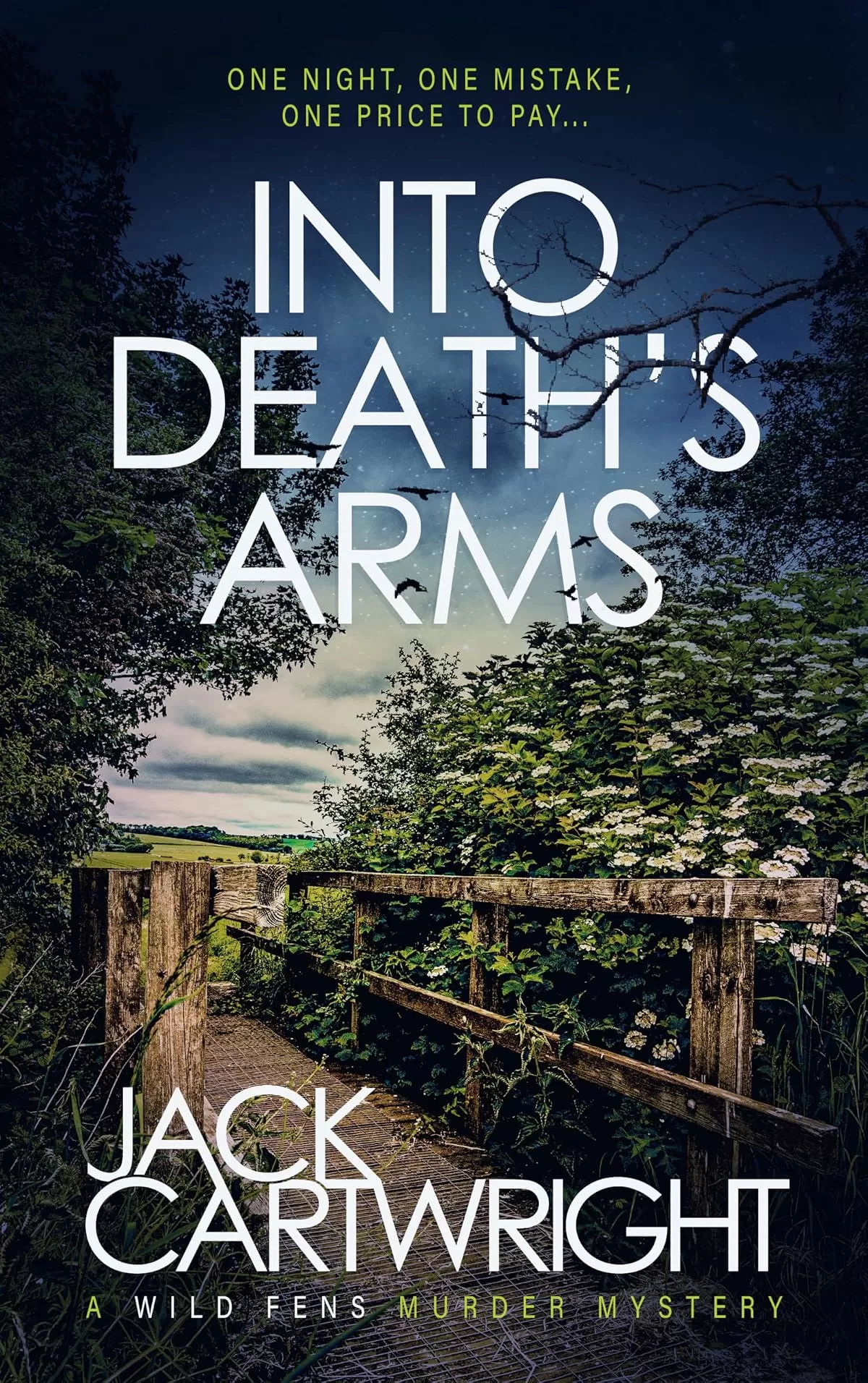 Into Death's Arms (The Wild Fens Murder Mystery Series #12) by Jack Cartwright