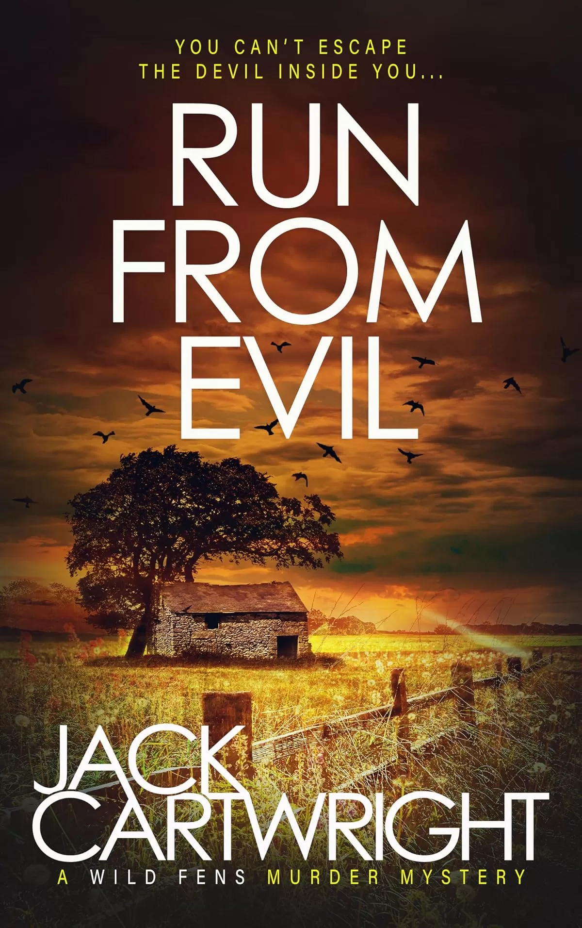 Run From Evil (The Wild Fens Murder Mystery Series #15) by Jack Cartwright