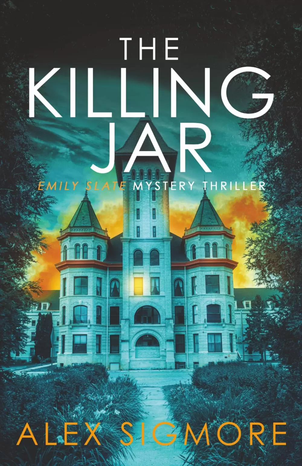 The Killing Jar (Emily Slate FBI Mystery Thriller #18) by Alex Sigmore