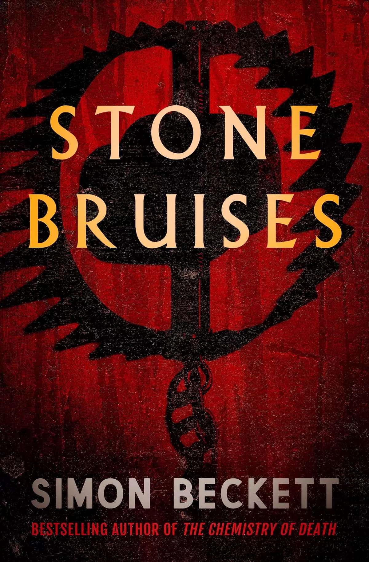 Stone Bruises by Simon Beckett