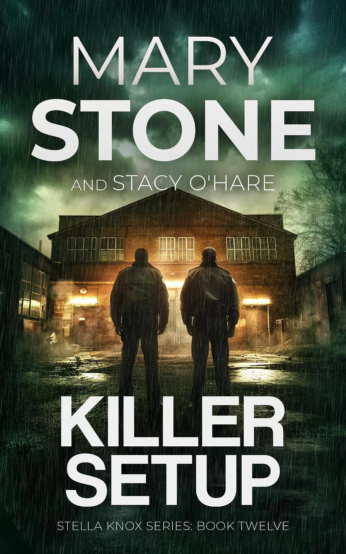 Killer Setup (Stella Knox FBI Mystery Series #12) by Mary Stone