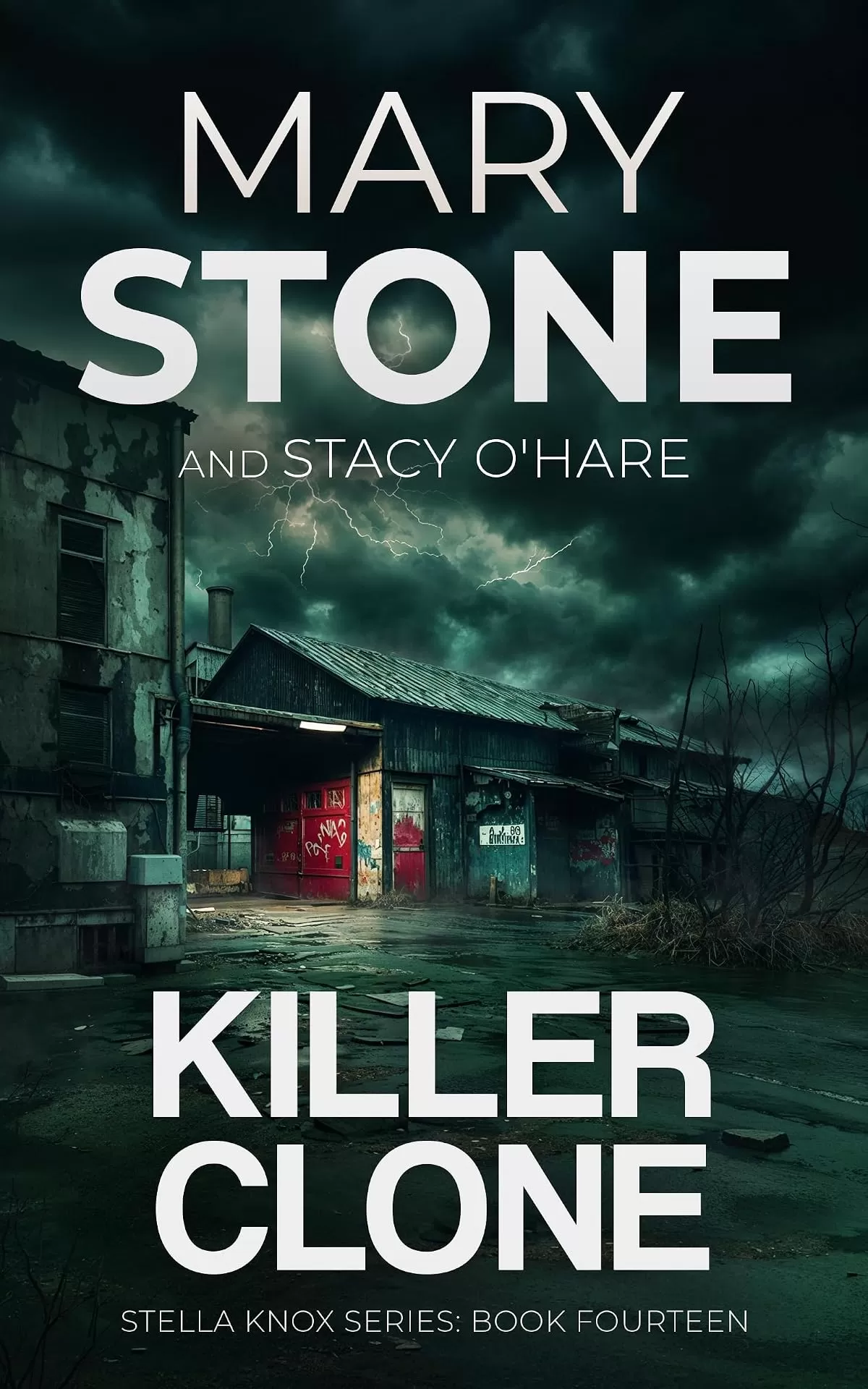 Killer Clone (Stella Knox FBI Mystery Series #14) by Mary Stone
