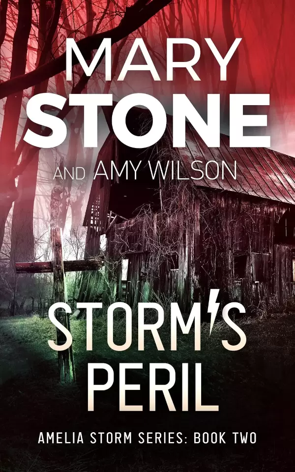 Storm's Peril (Amelia Storm FBI Mystery Series #2) by Mary Stone, Amy Wilson