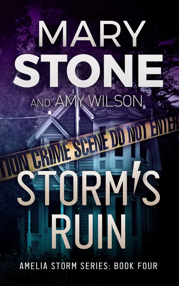 Storm's Ruin (Amelia Storm FBI Mystery Series #4) by Mary Stone, Amy Wilson