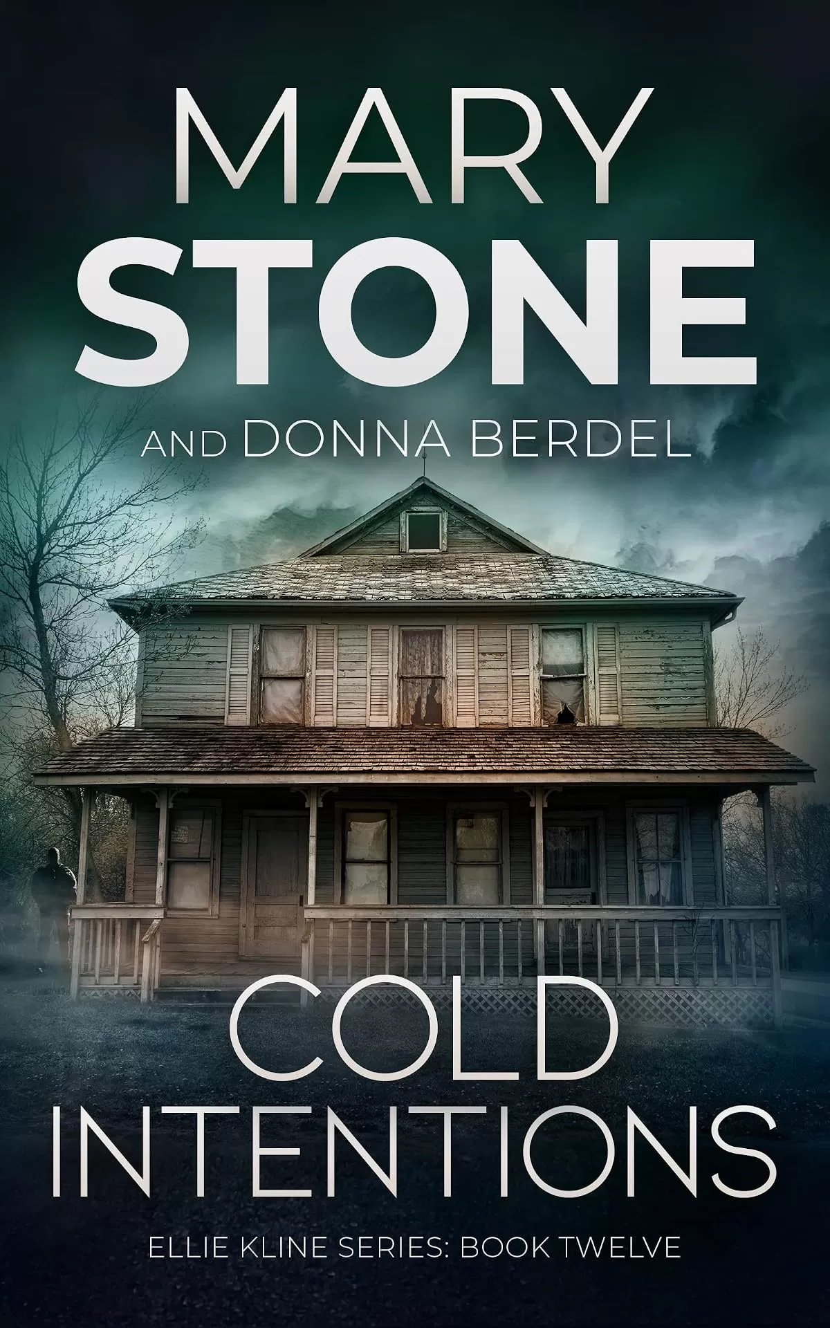 Cold Intentions (Ellie Kline #12) by Mary Stone, Donna Berdel