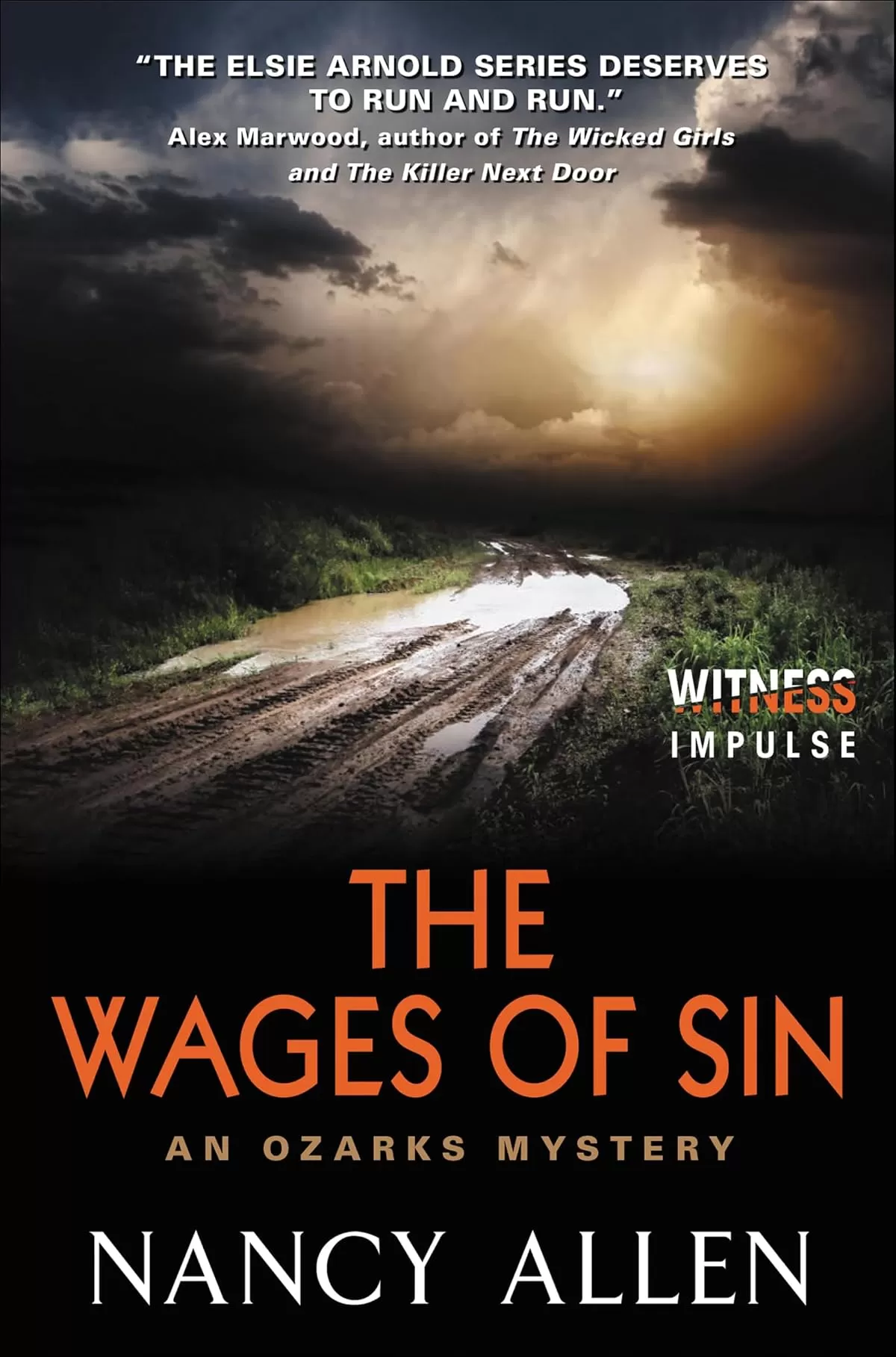 The Wages of Sin (Ozarks Mysteries #3) by Nancy Allen