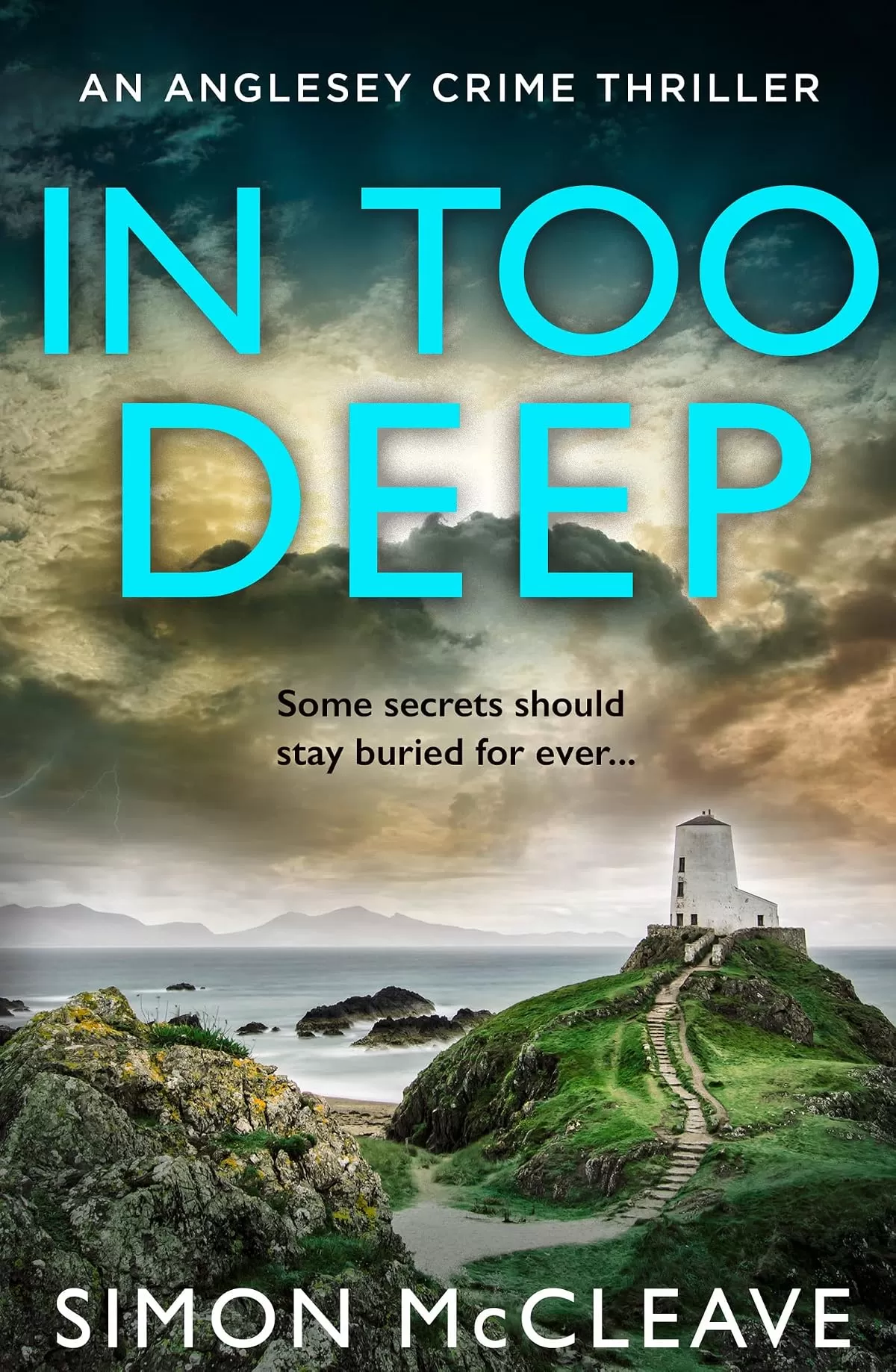 In Too Deep (The Anglesey #2) by Simon McCleave