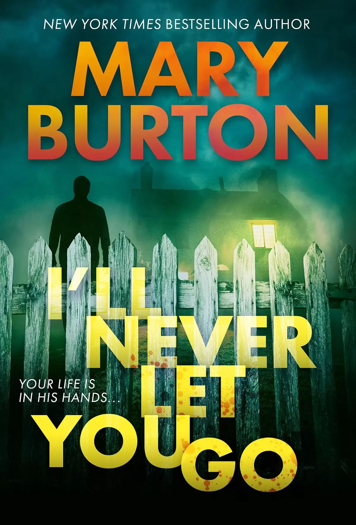 I'll Never Let You Go (Morgans Of Nashville #3) by Mary Burton