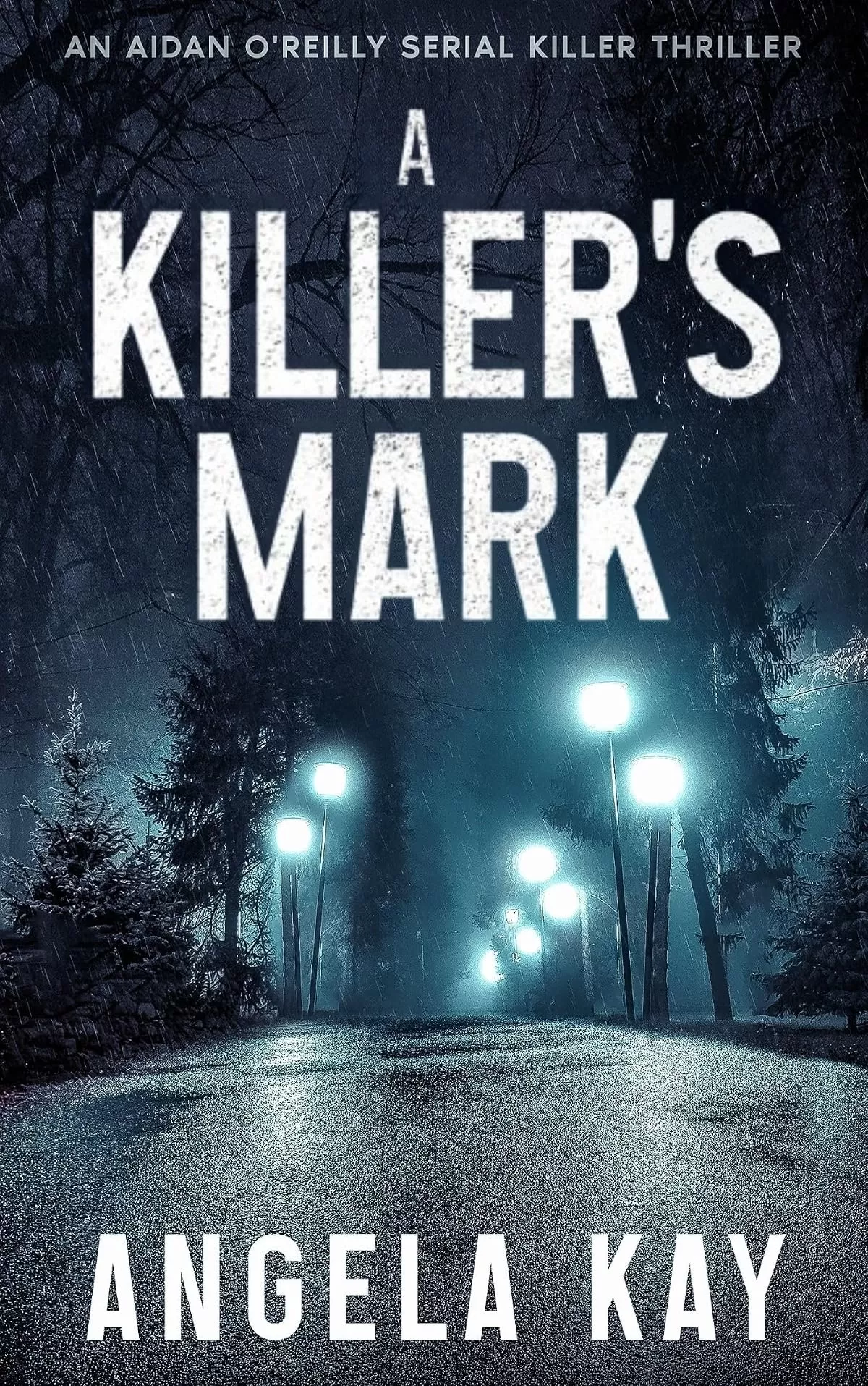 A Killer's Mark (Aidan O'Reilly FBI Thriller Series #1) by Angela Kay