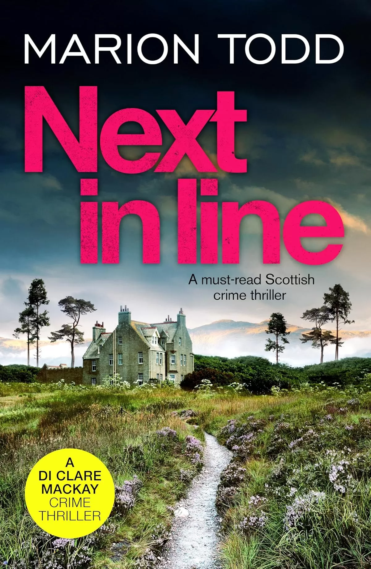 Next in Line (Detective Clare Mackay #5) by Marion Todd