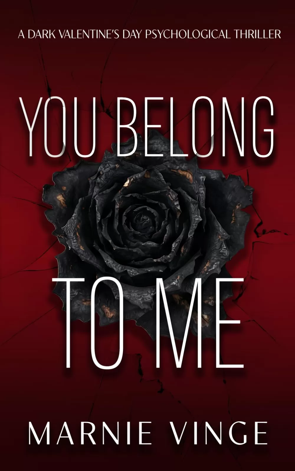 You Belong To Me by Marnie Vinge
