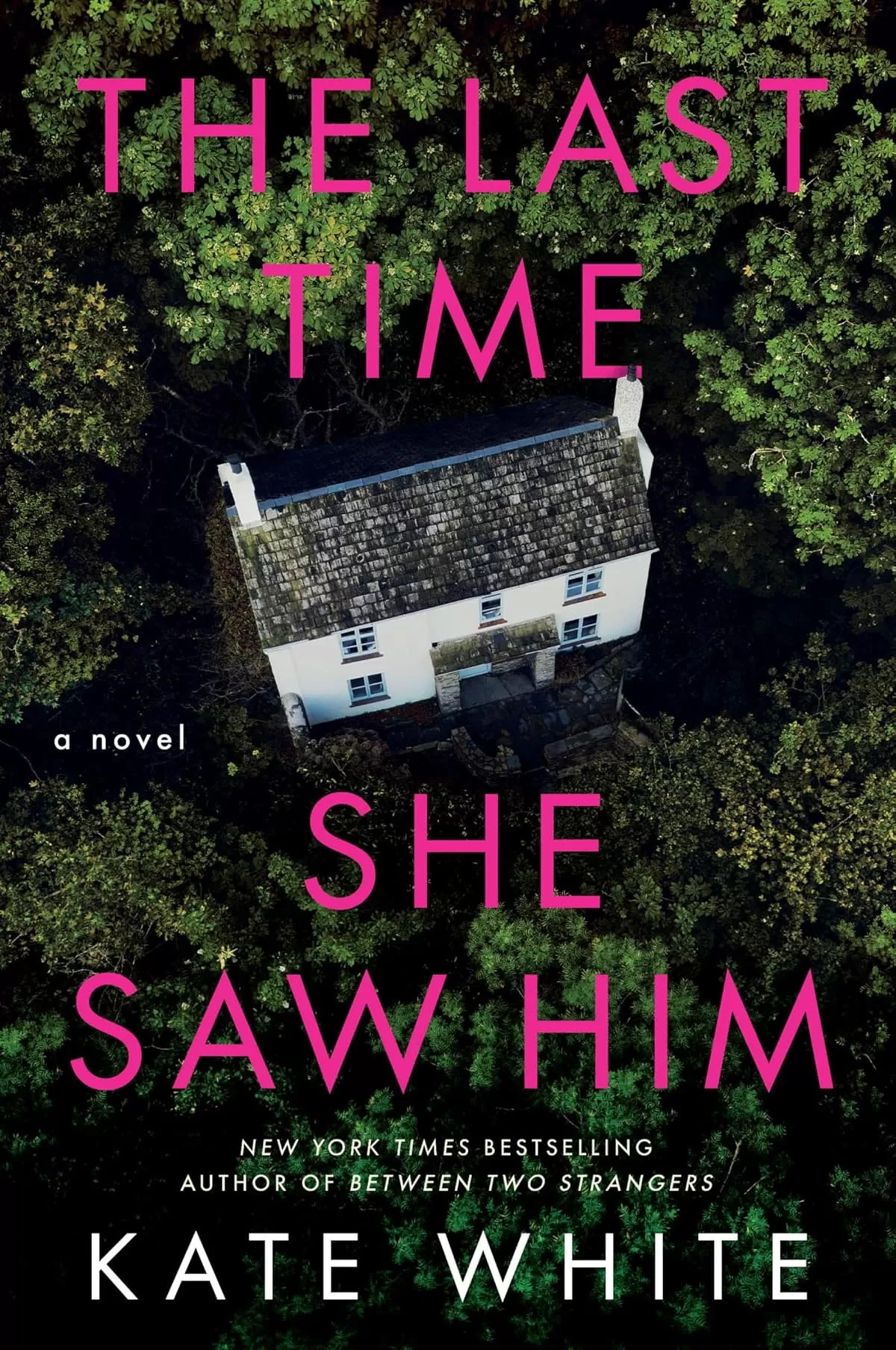 The Last Time She Saw Him by Kate White