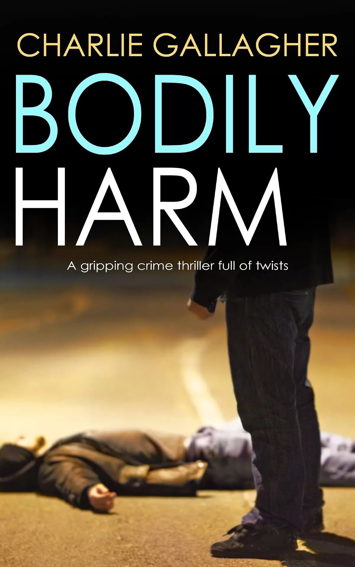BODILY HARM (Langthorne Police Series #1) by Charlie Gallagher
