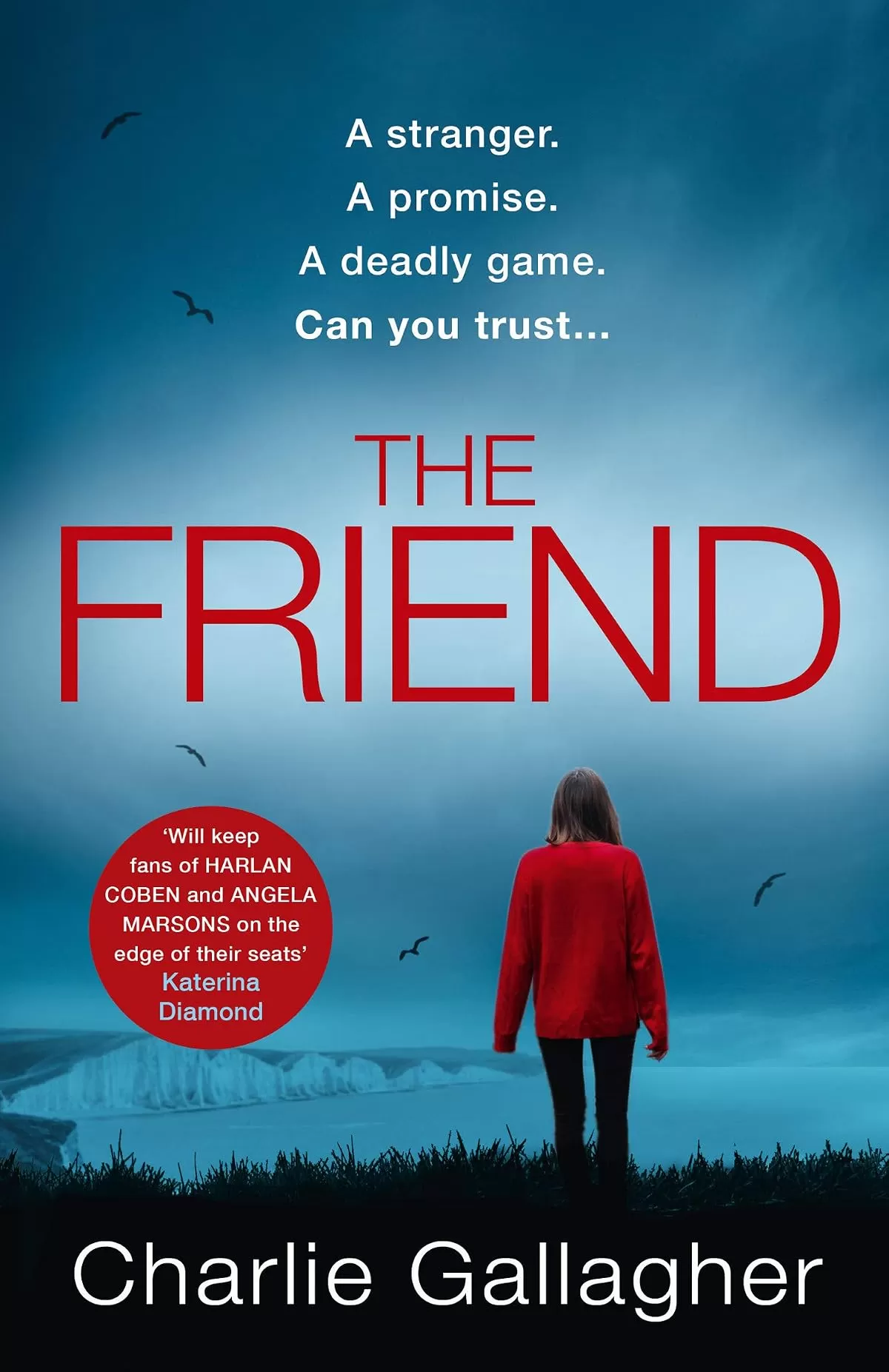 The Friend (DI Joel Norris #1) by Charlie Gallagher