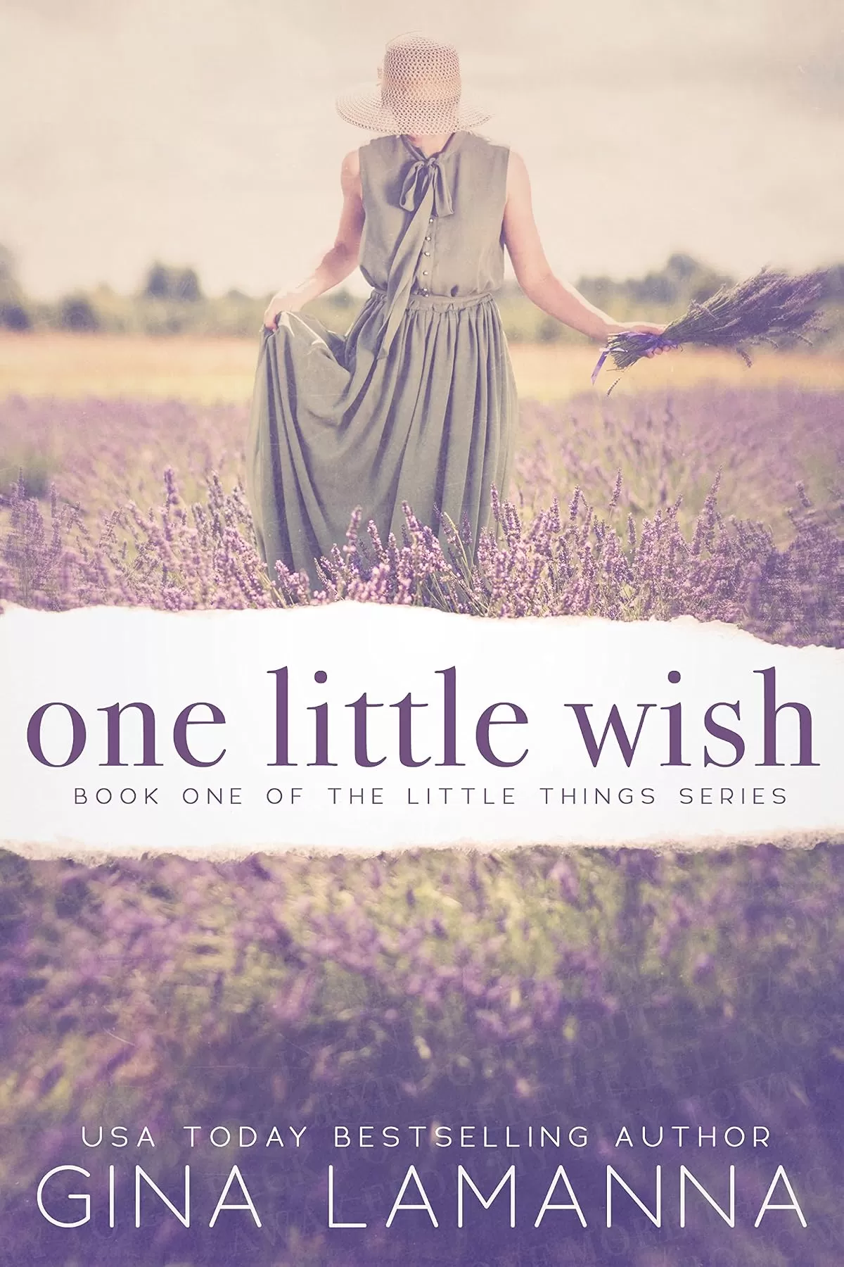 One Little Wish (The Little Things Mystery Series #1) by Gina LaManna