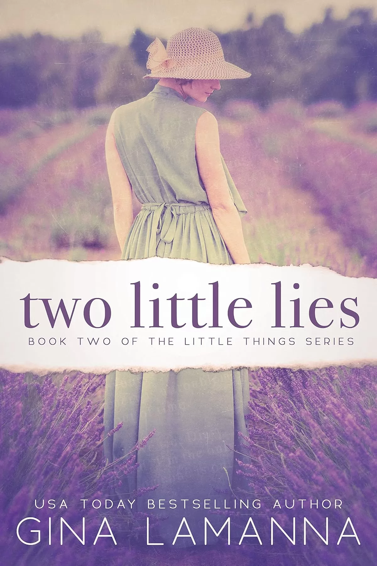 Two Little Lies (The Little Things Mystery Series #2) by Gina LaManna