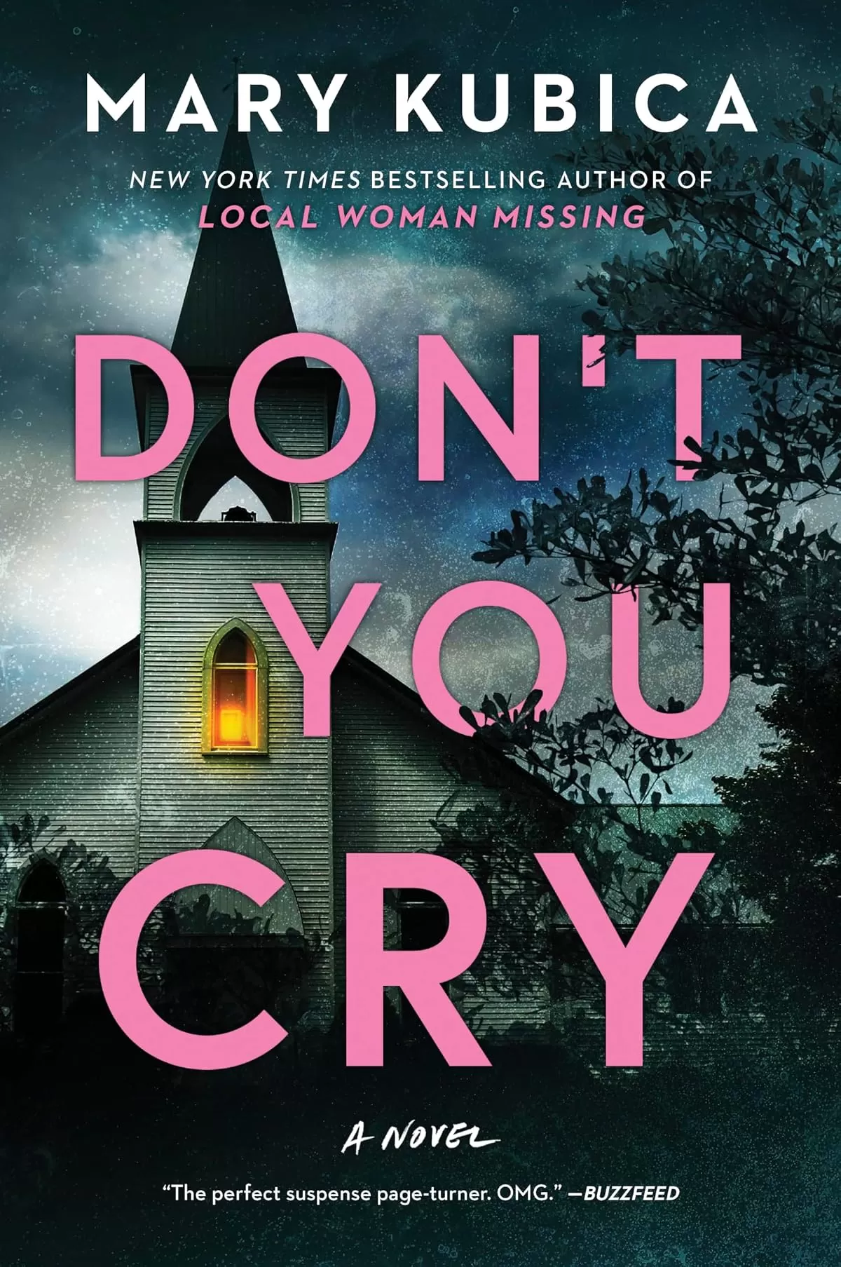 Don't You Cry by Mary Kubica
