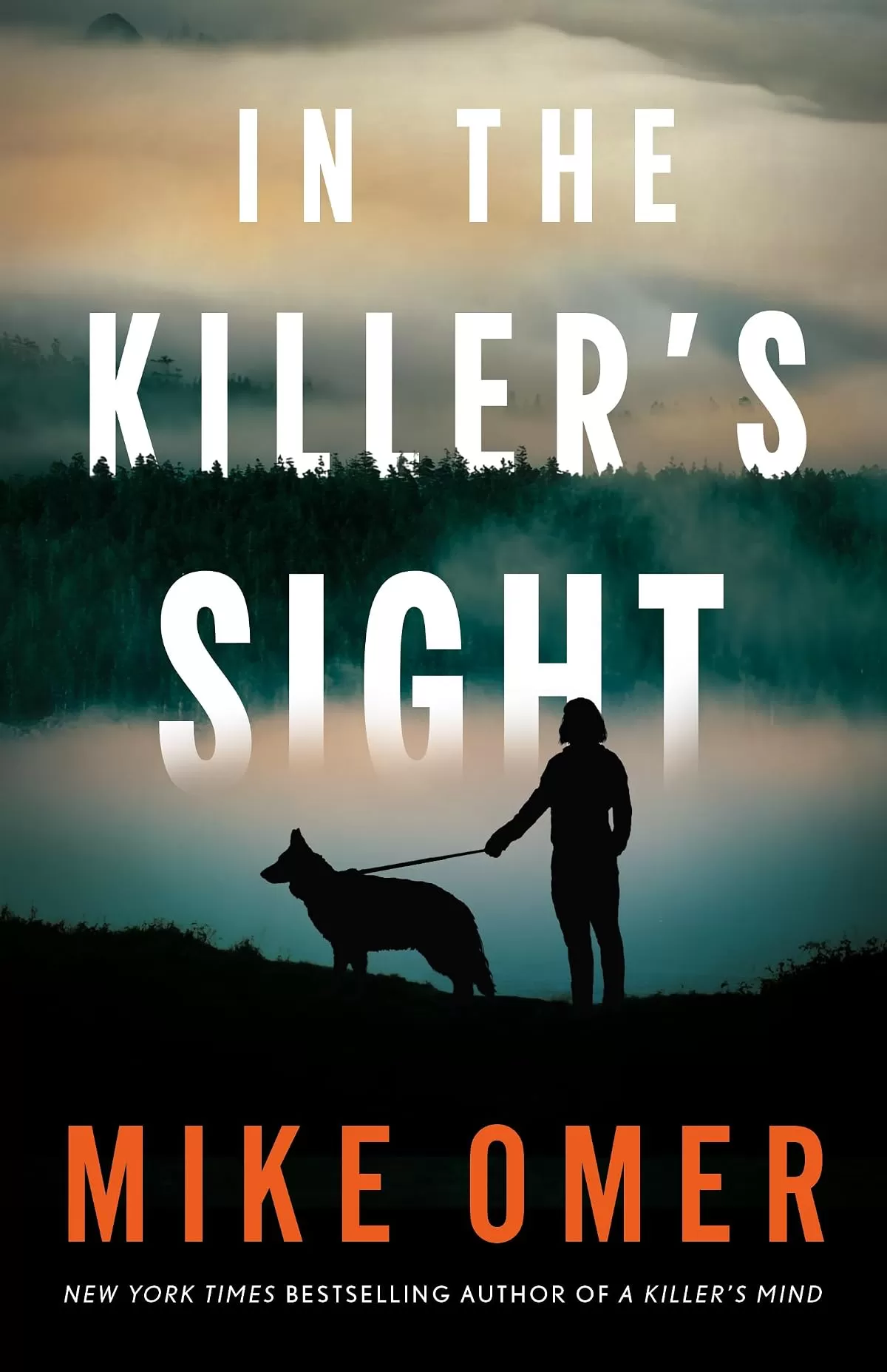 In the Killer's Sight (Kate Marino #1) by Mike Omer
