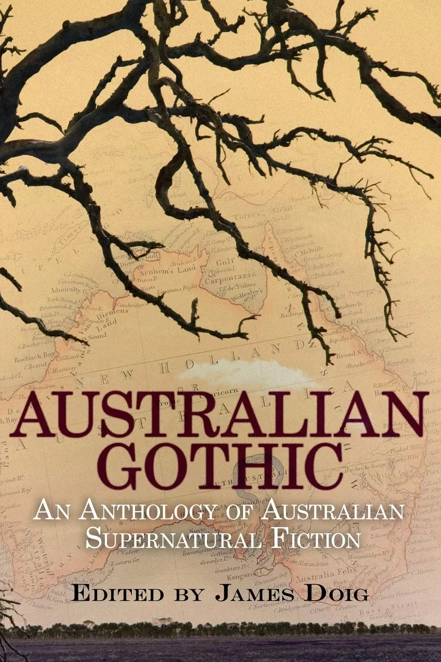 Australian Gothic: An Anthology of Australian Supernatural Fiction: 1867-1939 by James Doig
