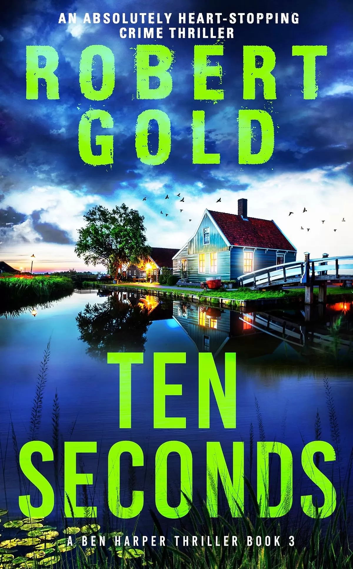 Ten Seconds (Ben Harper #3) by Robert Gold