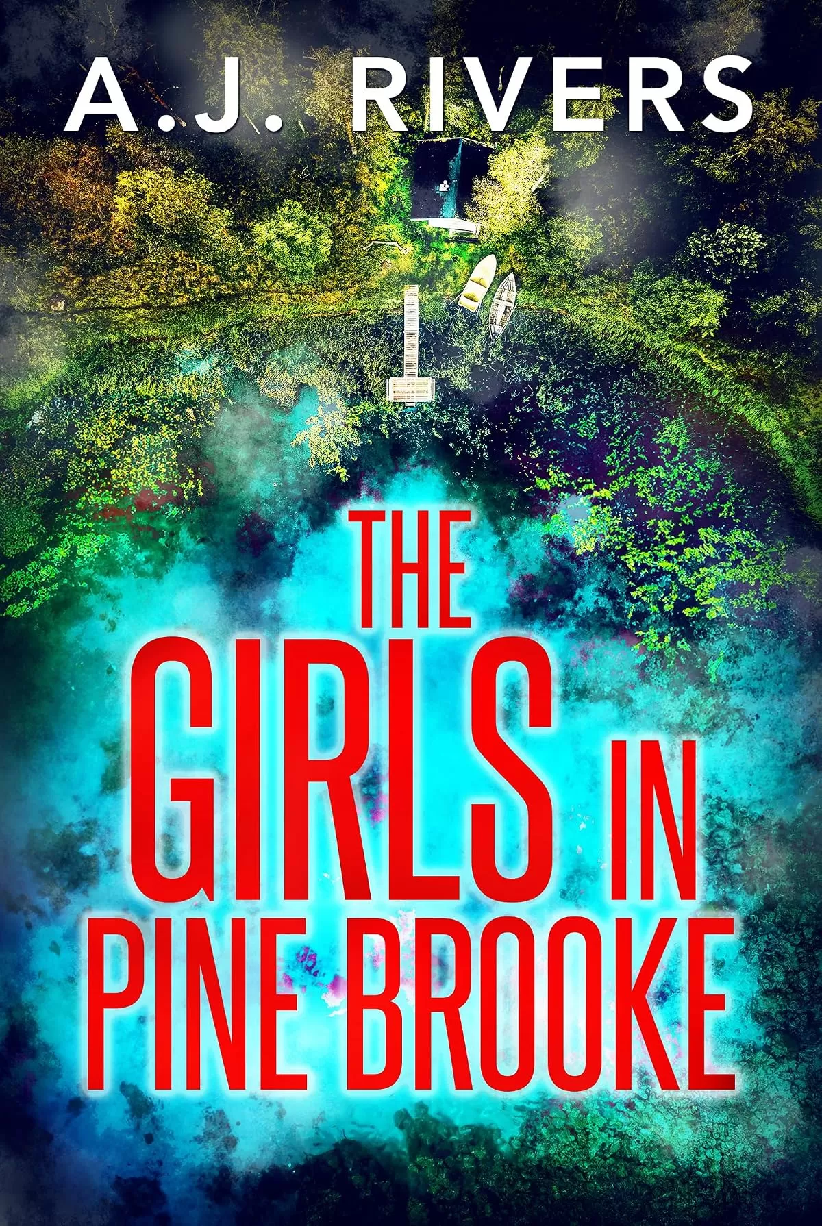 The Girls in Pine Brooke (A Detective Riley Quinn Pine Brooke Mystery #1) by A.J. Rivers