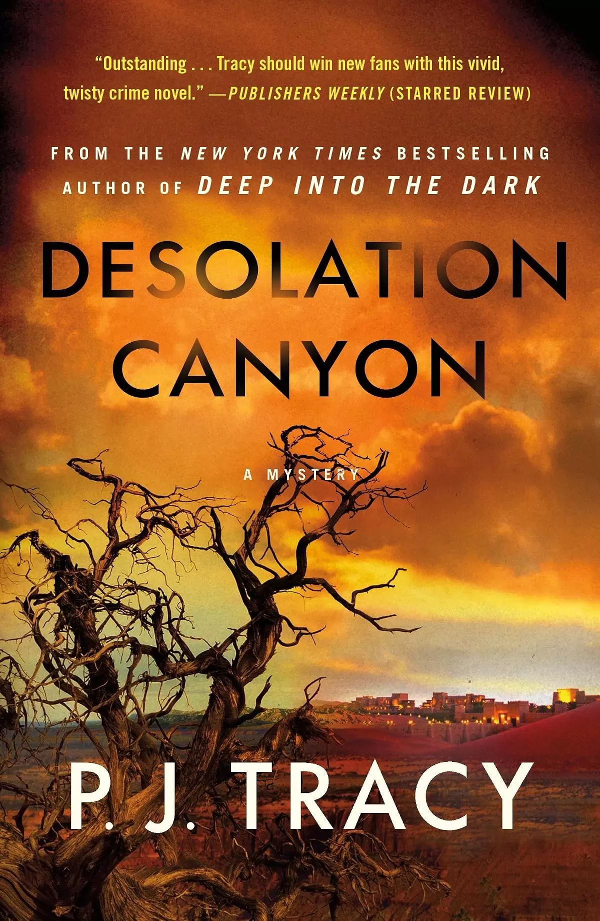 Desolation Canyon (Detective Margaret Nolan #2) by P. J. Tracy