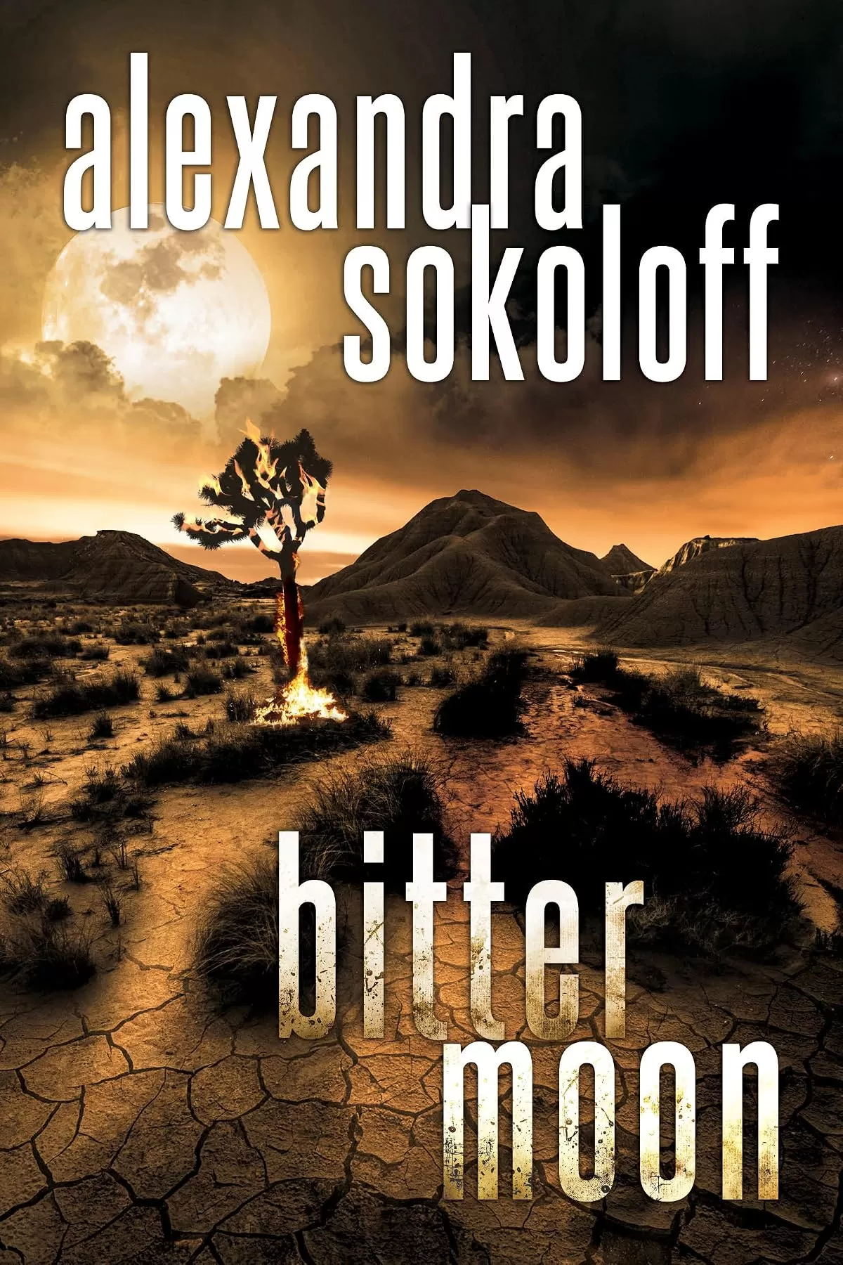 Bitter Moon (The Huntress/FBI Thrillers #4) by Alexandra Sokoloff
