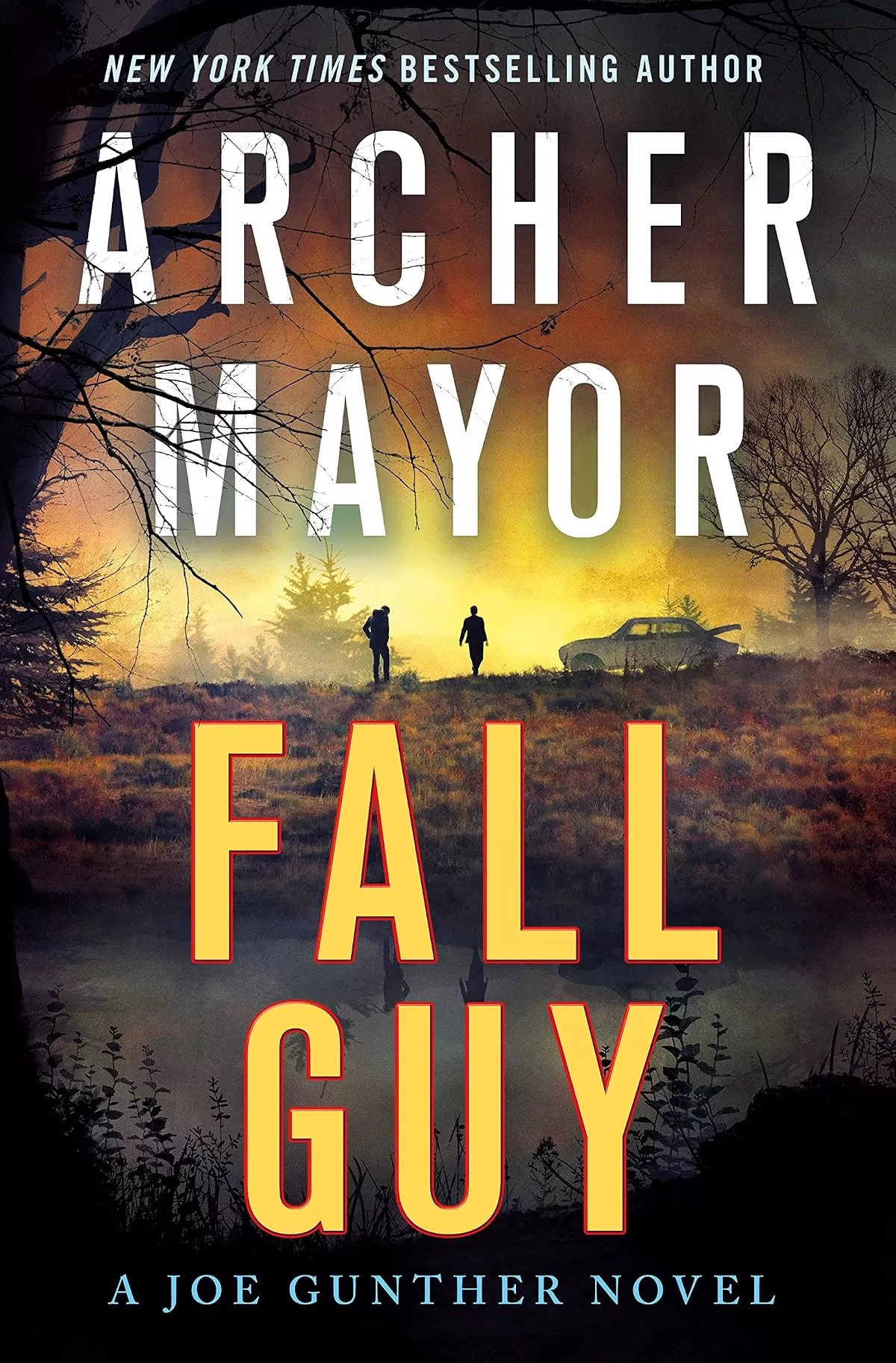 Fall Guy (Joe Gunther Mysteries #33) by Archer Mayor