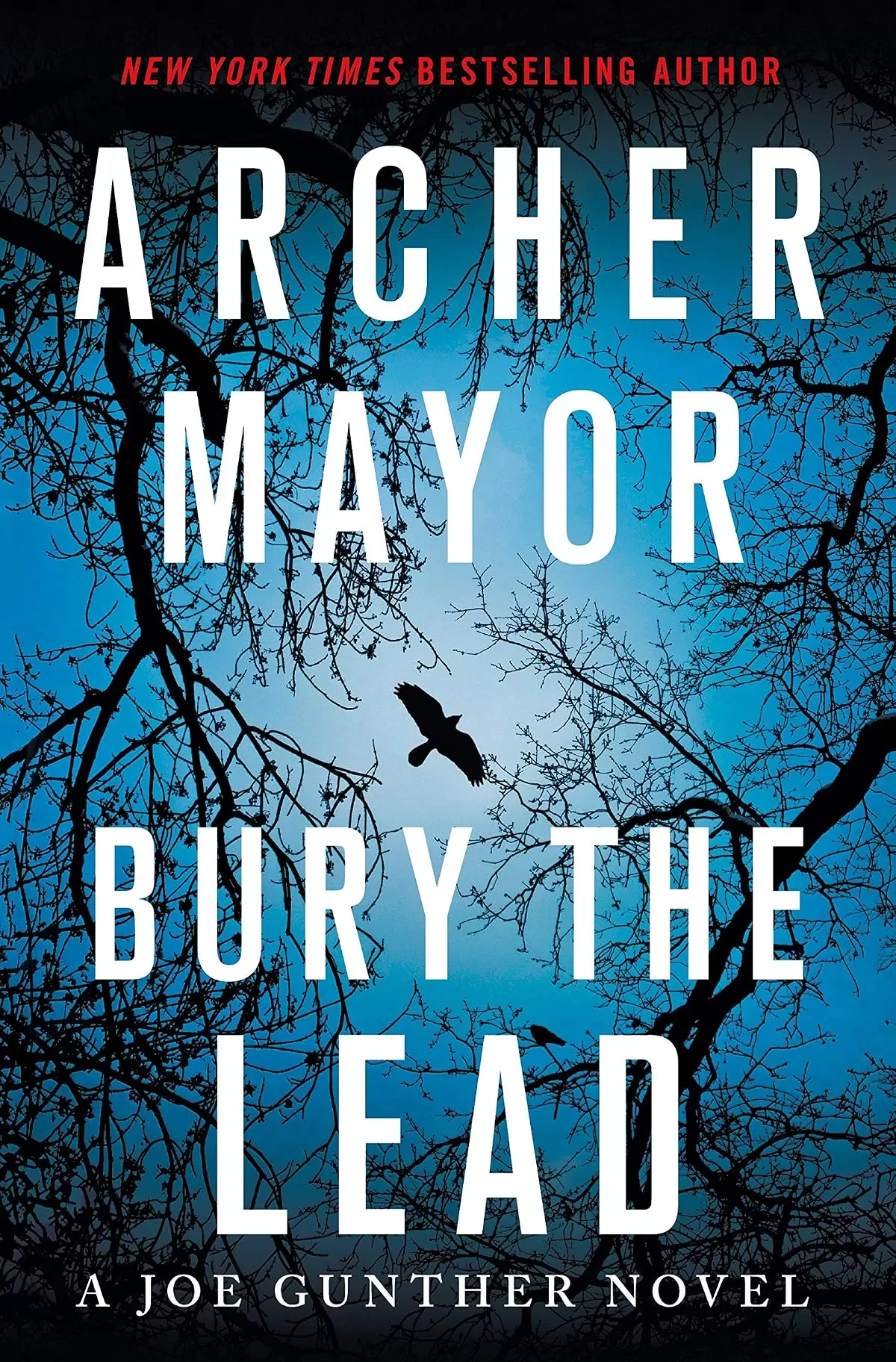 Bury the Lead (Joe Gunther Mysteries #29) by Archer Mayor