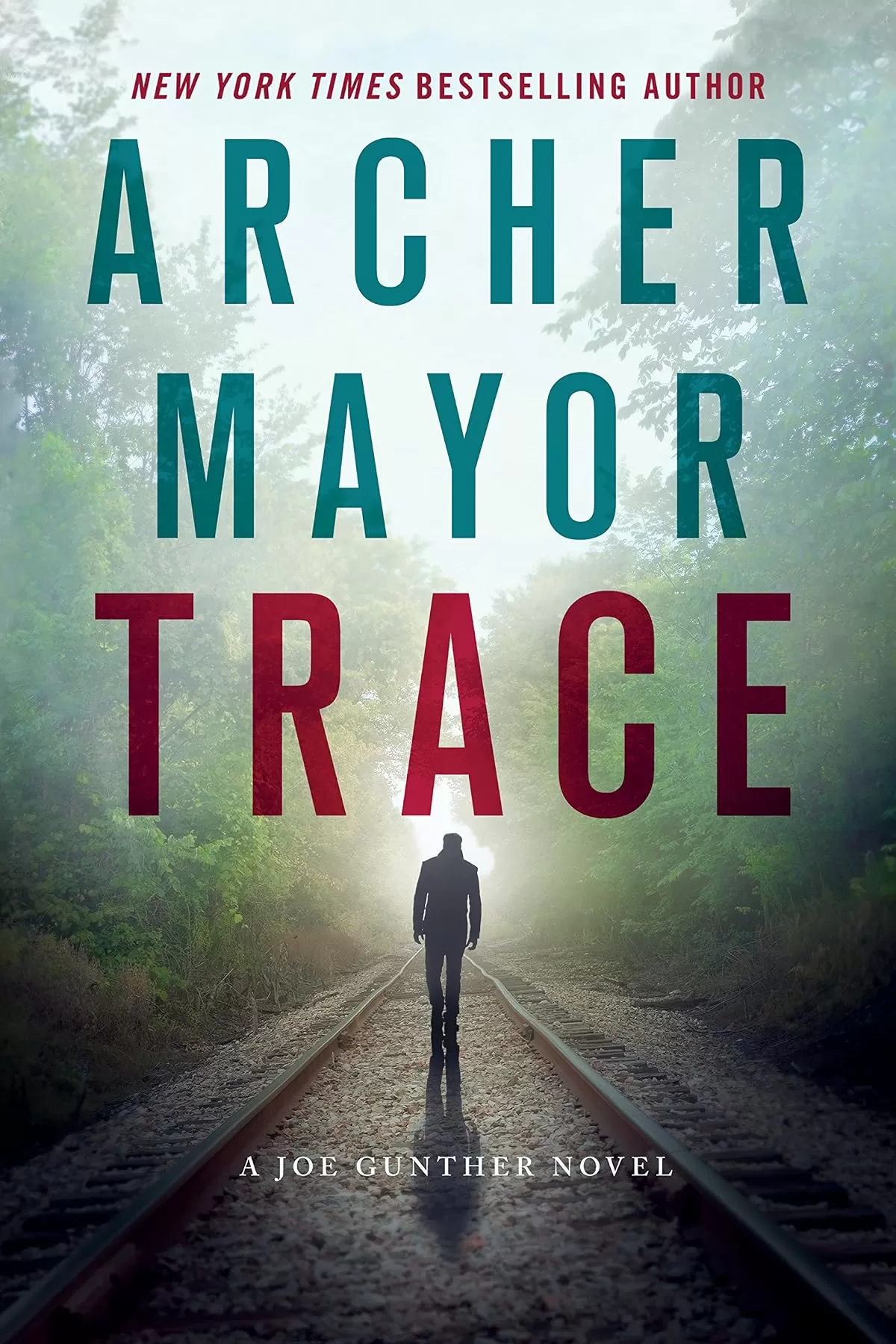 Trace (Joe Gunther Mysteries #28) by Archer Mayor